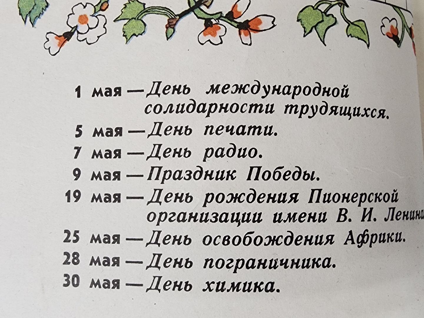 сергиев посад, музей частных коллекций, день пионерии, пионеры,