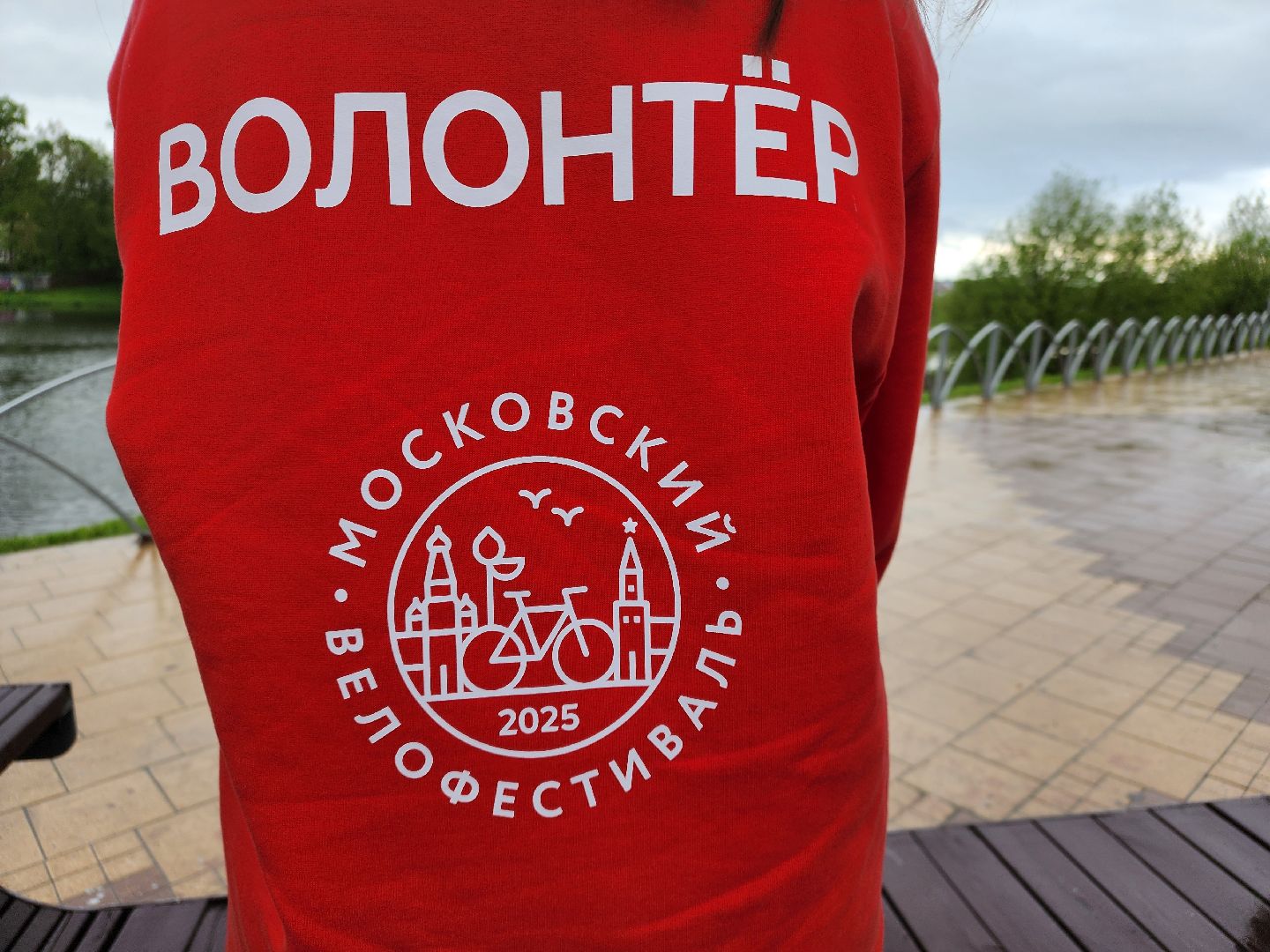 сергиев посад, волонтеры, молодость,