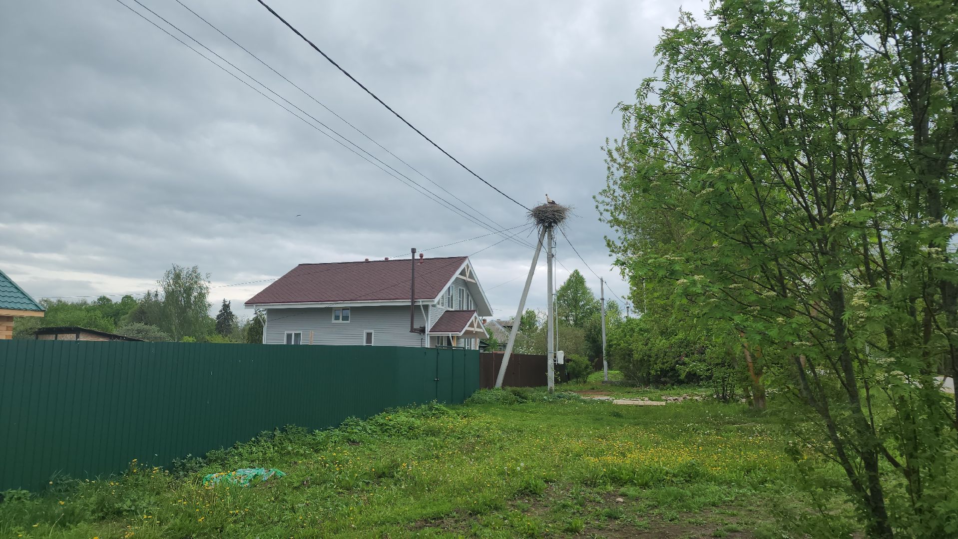 ступино, экология, аисты в подмосковье,