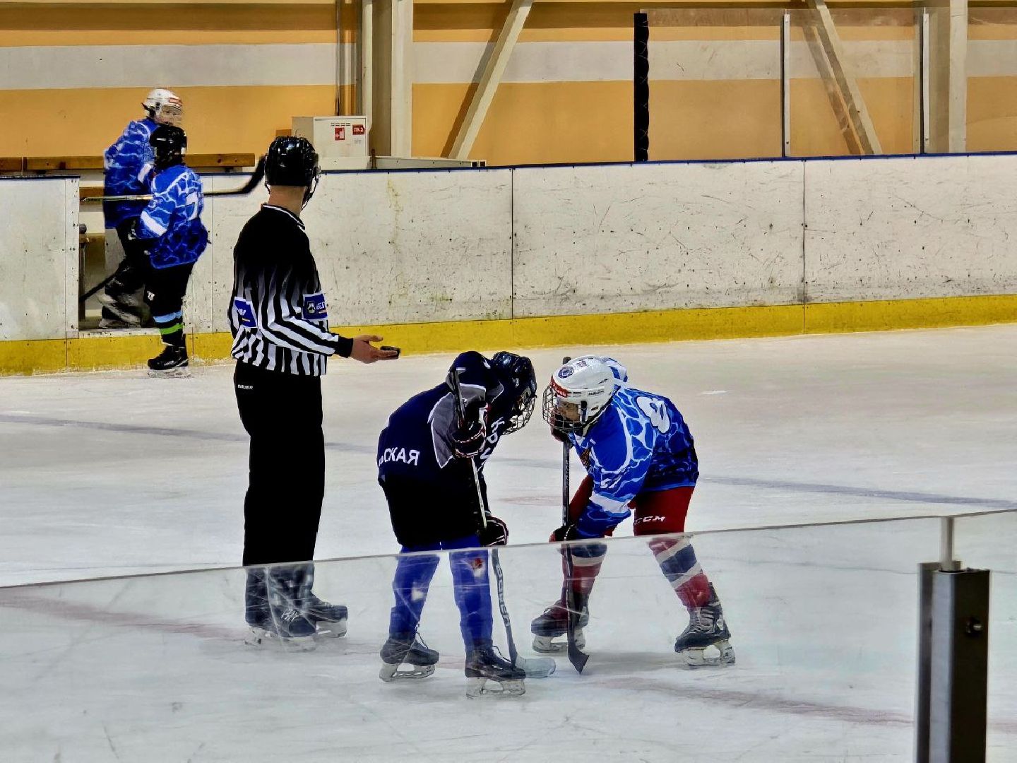 шаховская, турнир, хоккей,