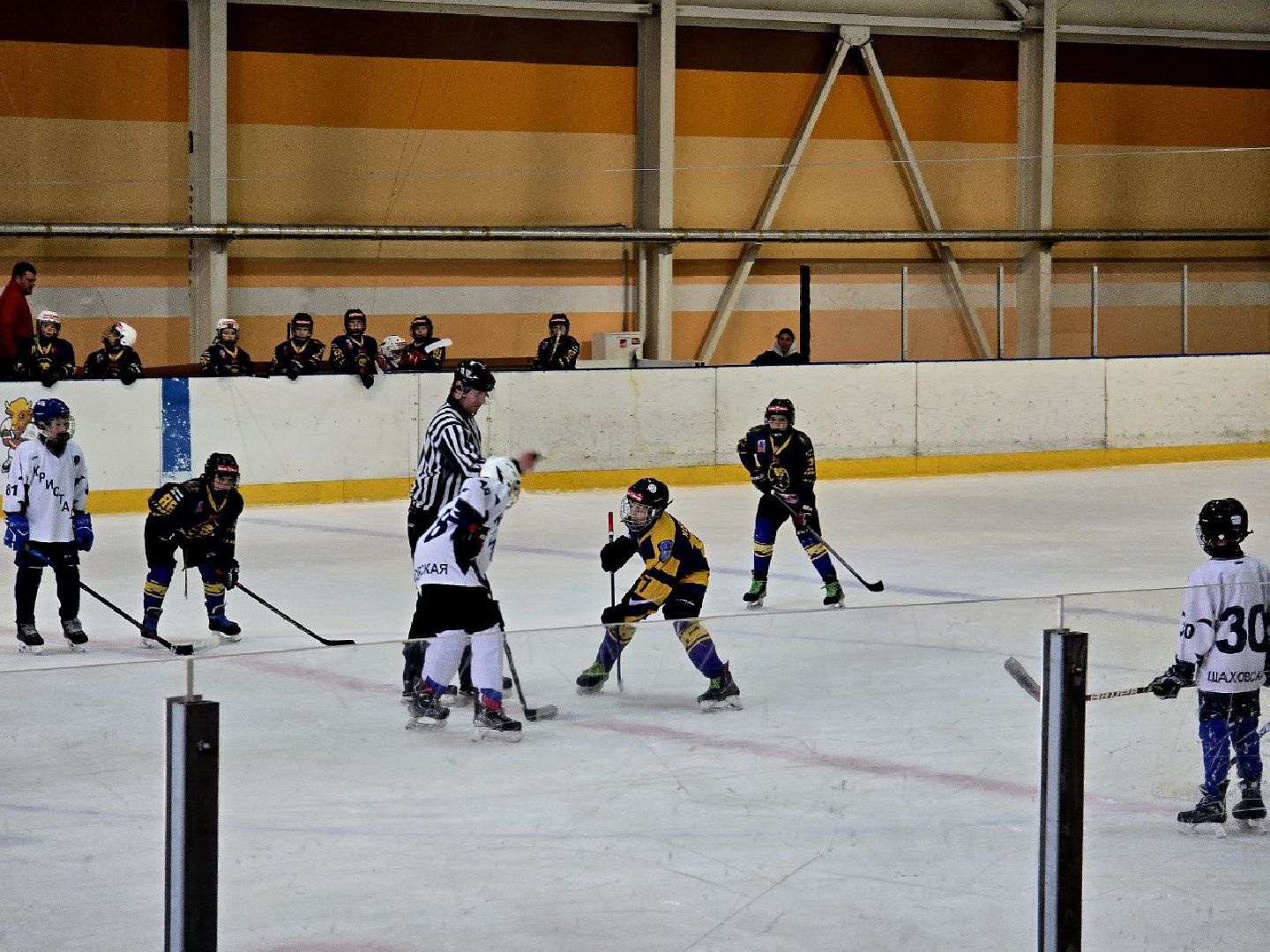 шаховская, турнир, хоккей,
