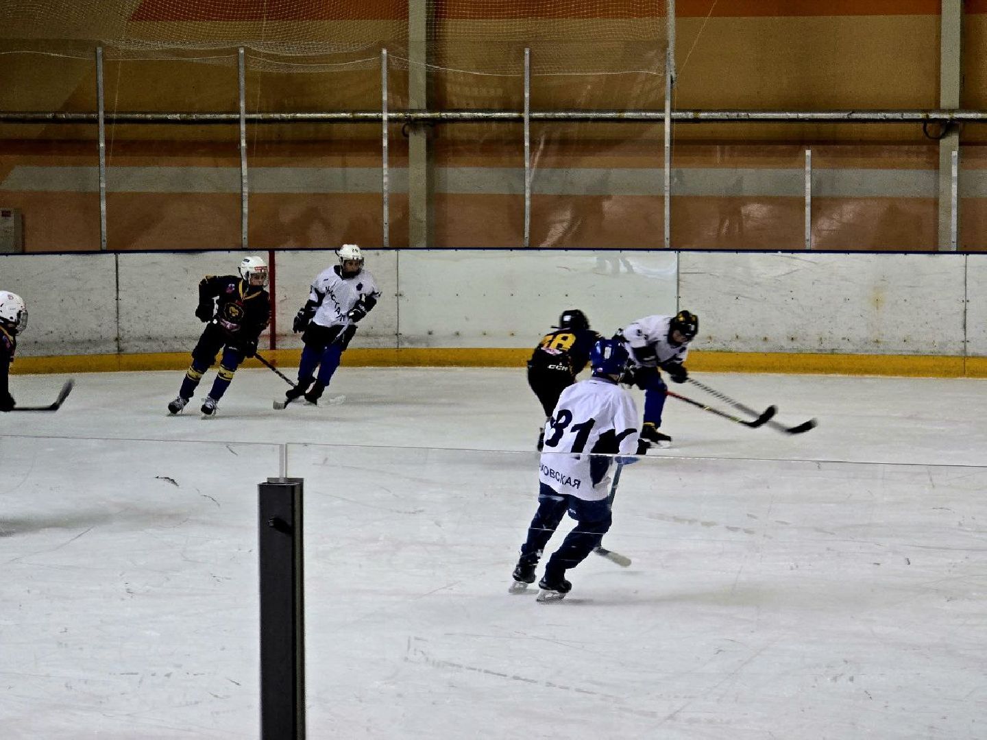 шаховская, турнир, хоккей,