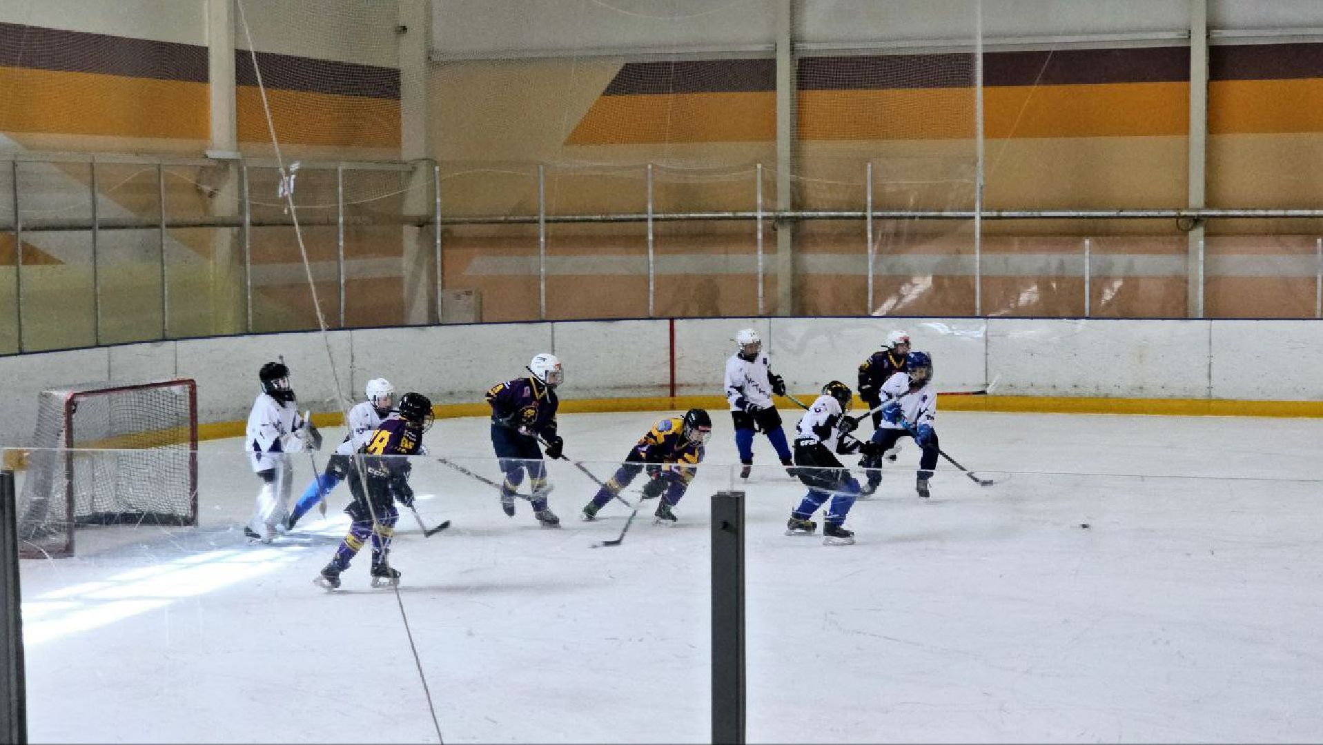 шаховская, турнир, хоккей,