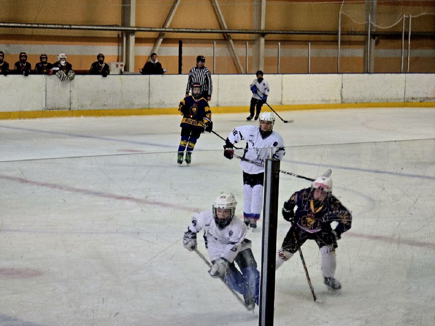 шаховская, турнир, хоккей,