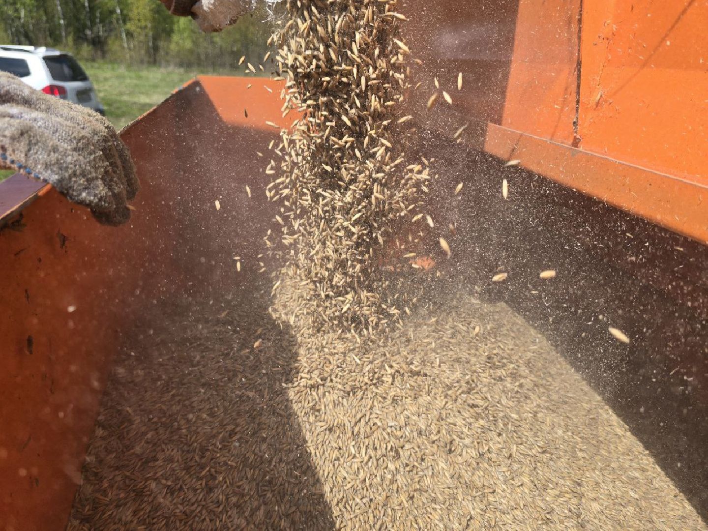 можайск, можайский муниципальный округ, подмосковье, сельское хозяйство, весенне-полевые работы, совхоз можайский,