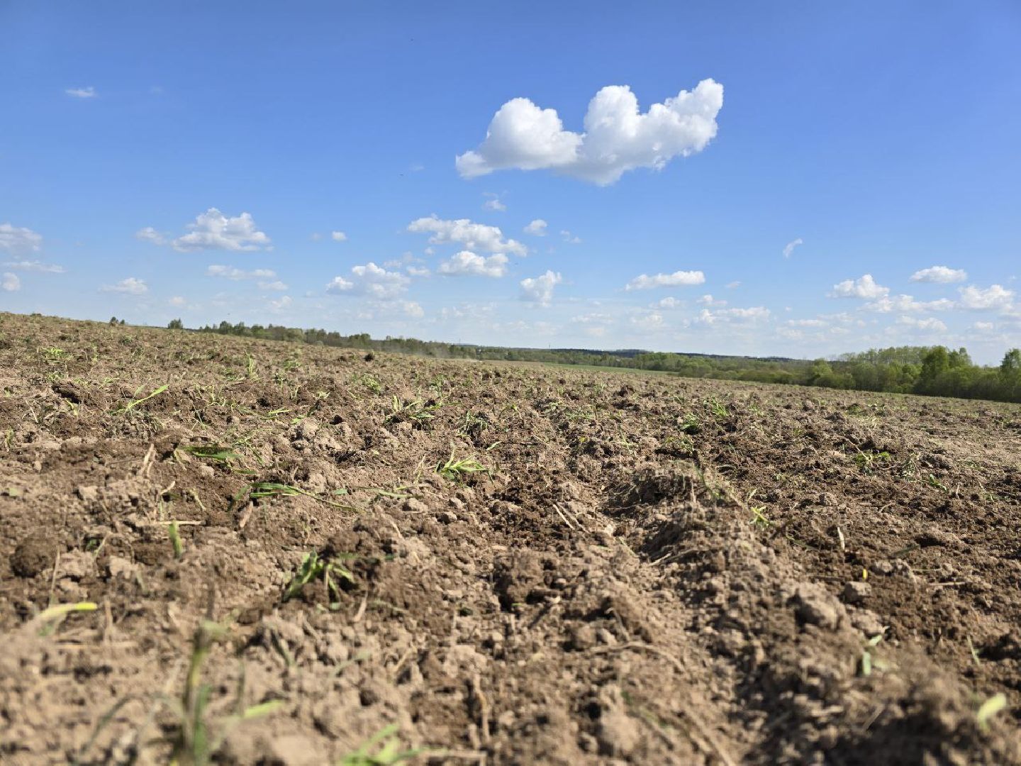 можайск, можайский муниципальный округ, подмосковье, сельское хозяйство, весенне-полевые работы, совхоз можайский,
