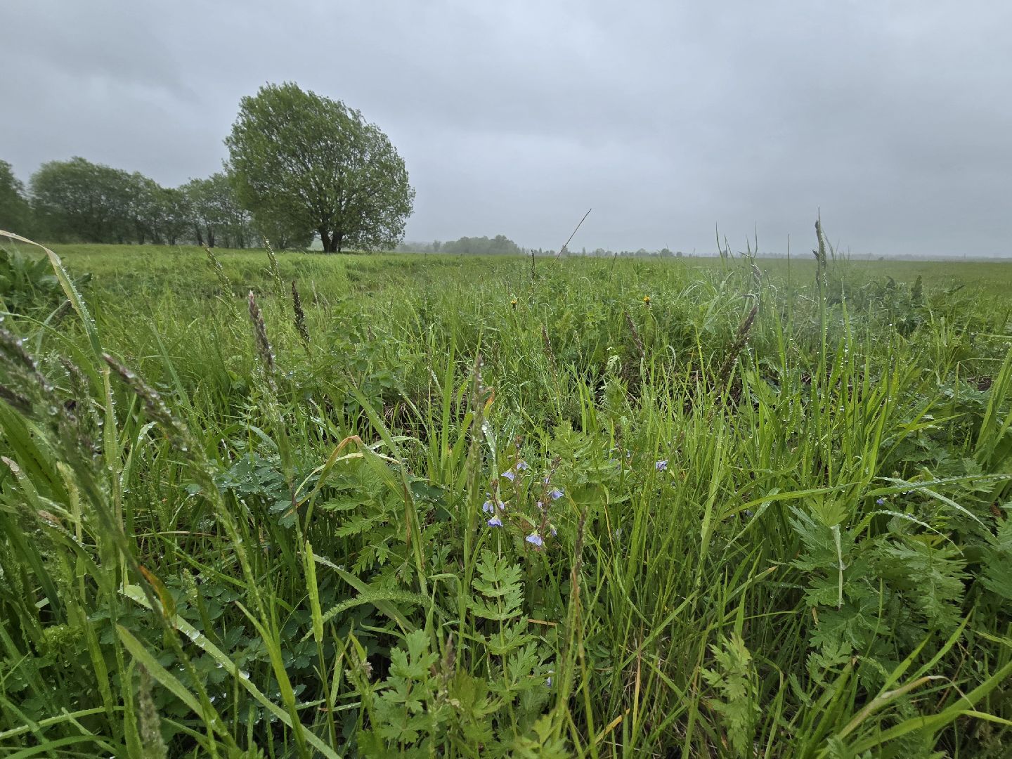 Коломна, крестьянско-фермерское хозяйство, кфх,