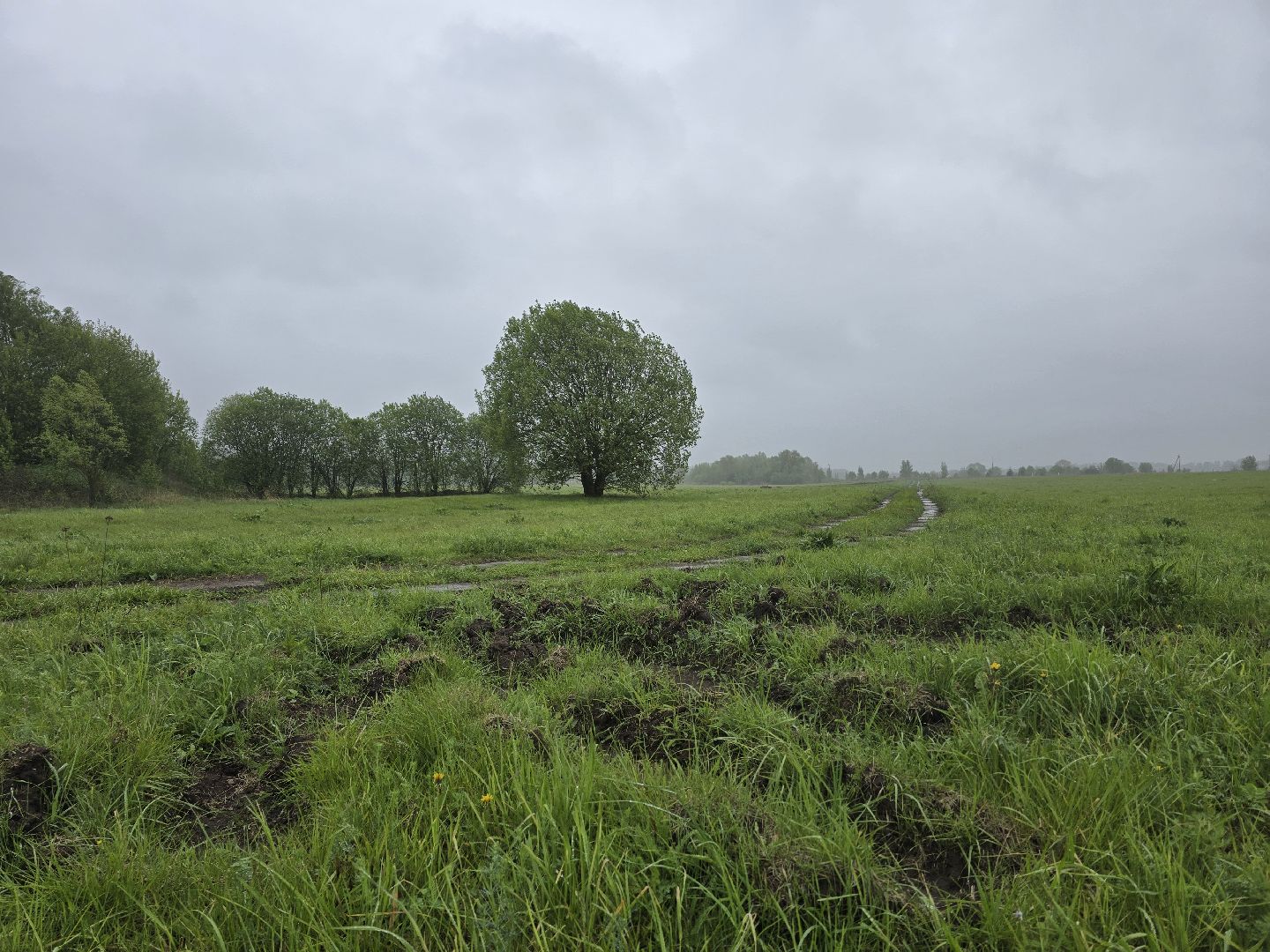 Коломна, крестьянско-фермерское хозяйство, кфх,