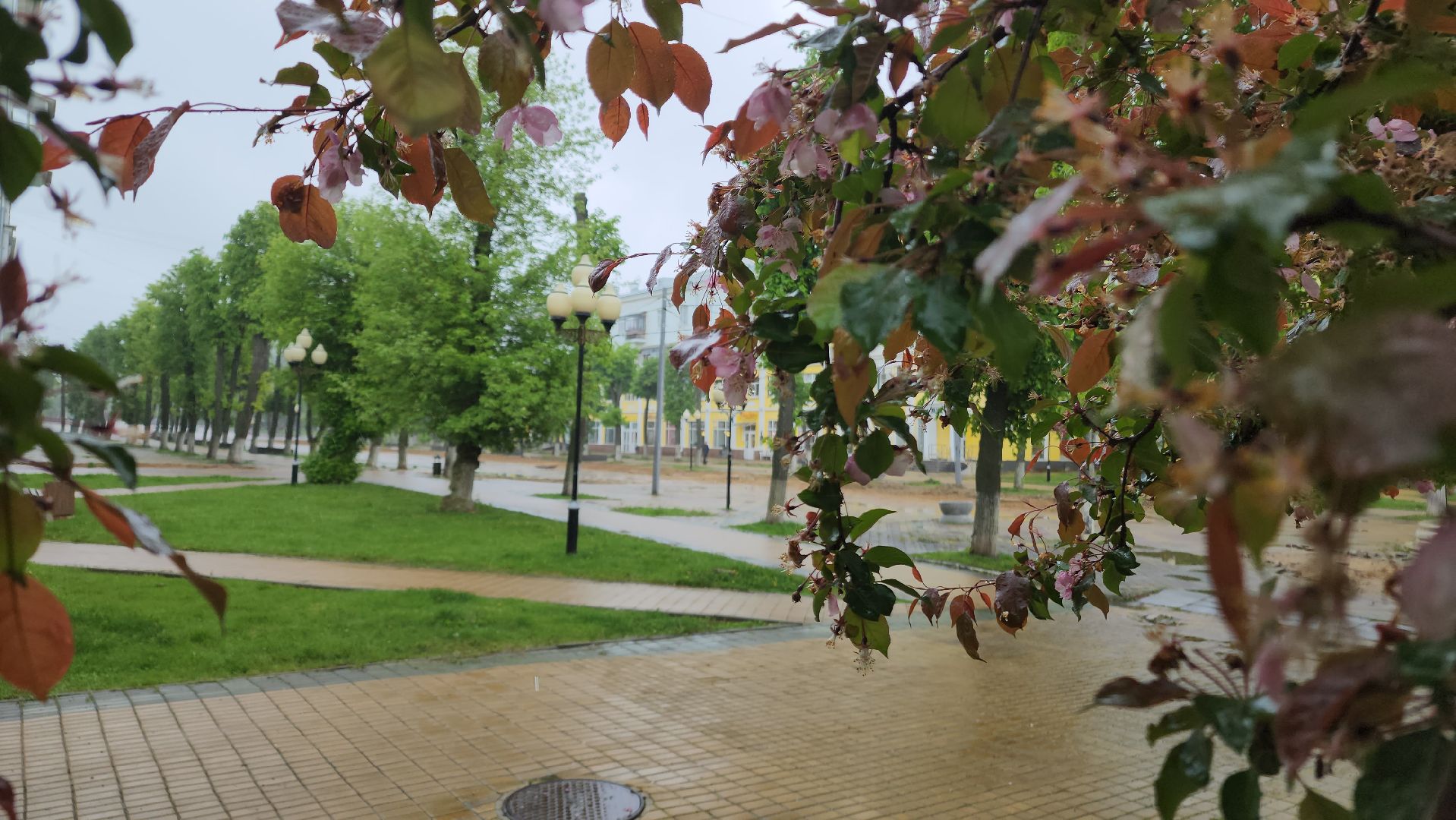 ступино, культура, благоустройство,