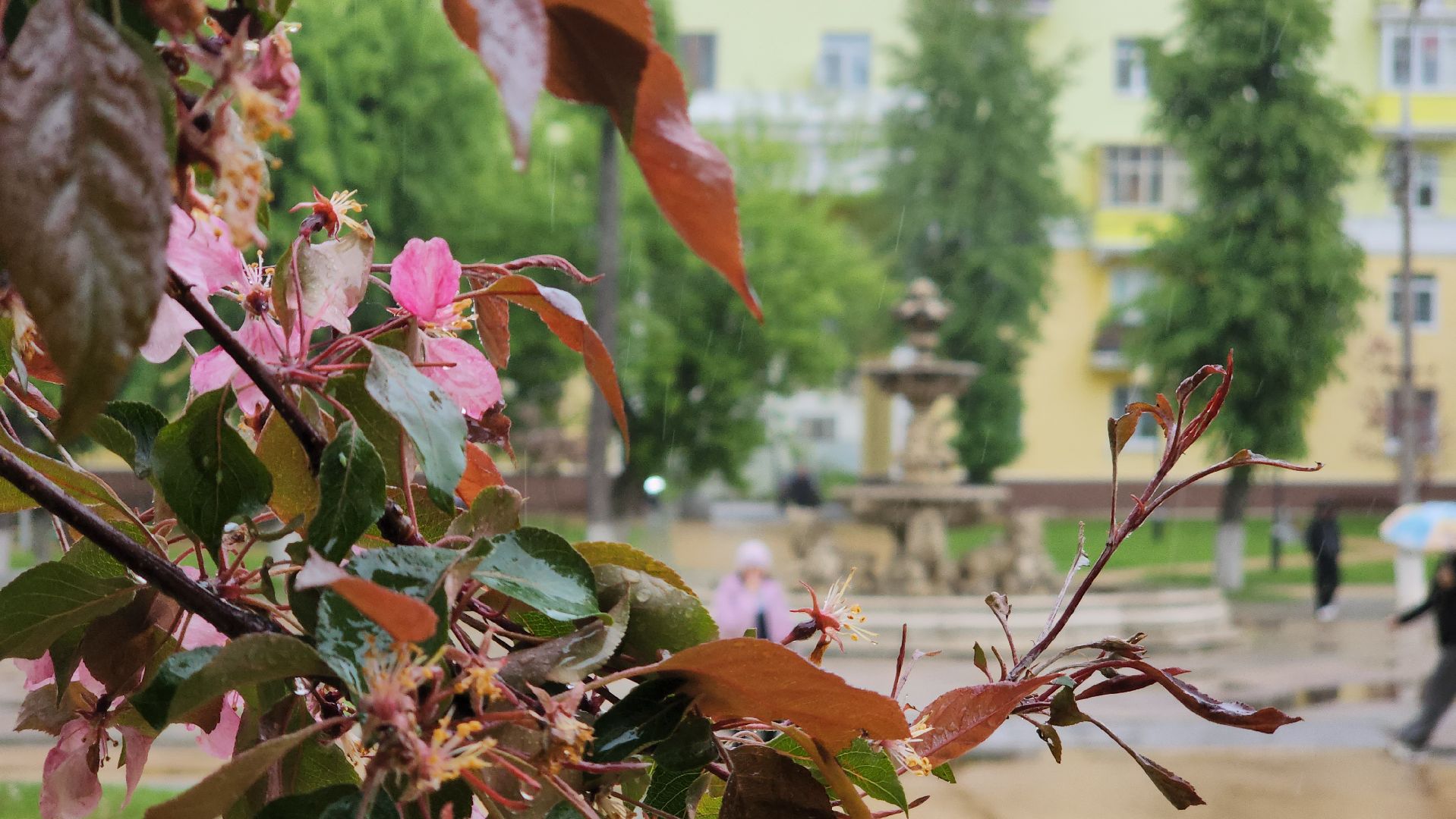 ступино, культура, благоустройство,