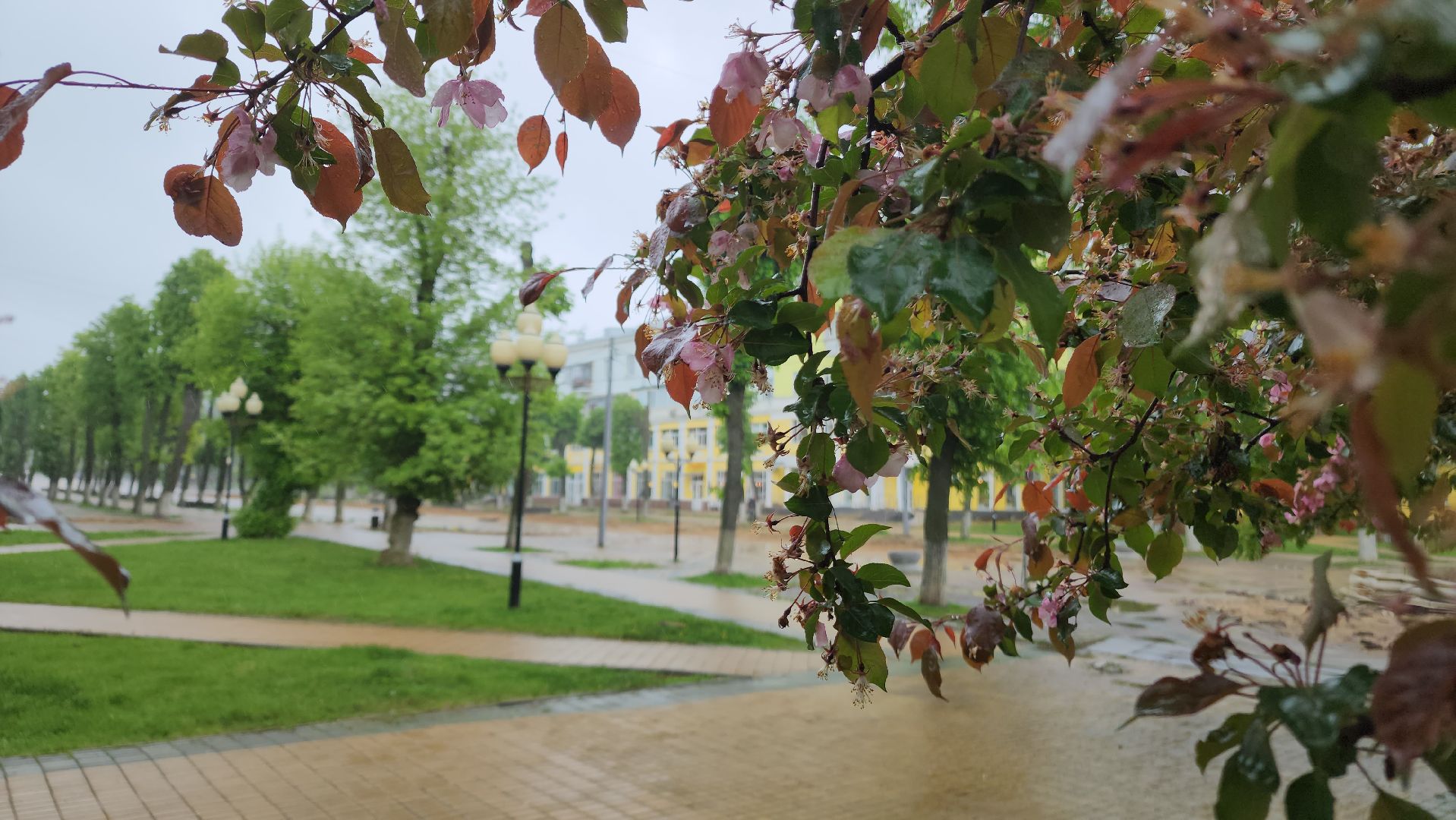 ступино, культура, благоустройство,