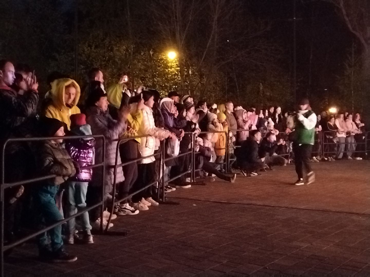 Саламандра, Мытищи, театр огненных легенд, огненное шоу, акведук, Парк Мира