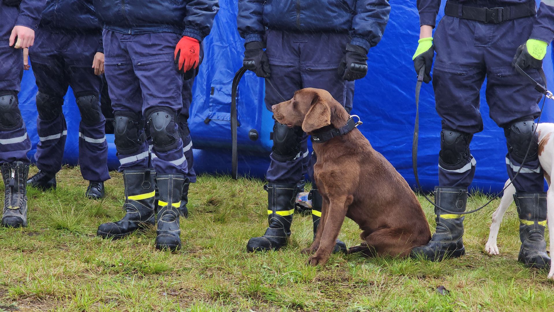 учения спасателей, корпус сил и средств стран снг,   МЧС, ногинск, богородский городской округ,