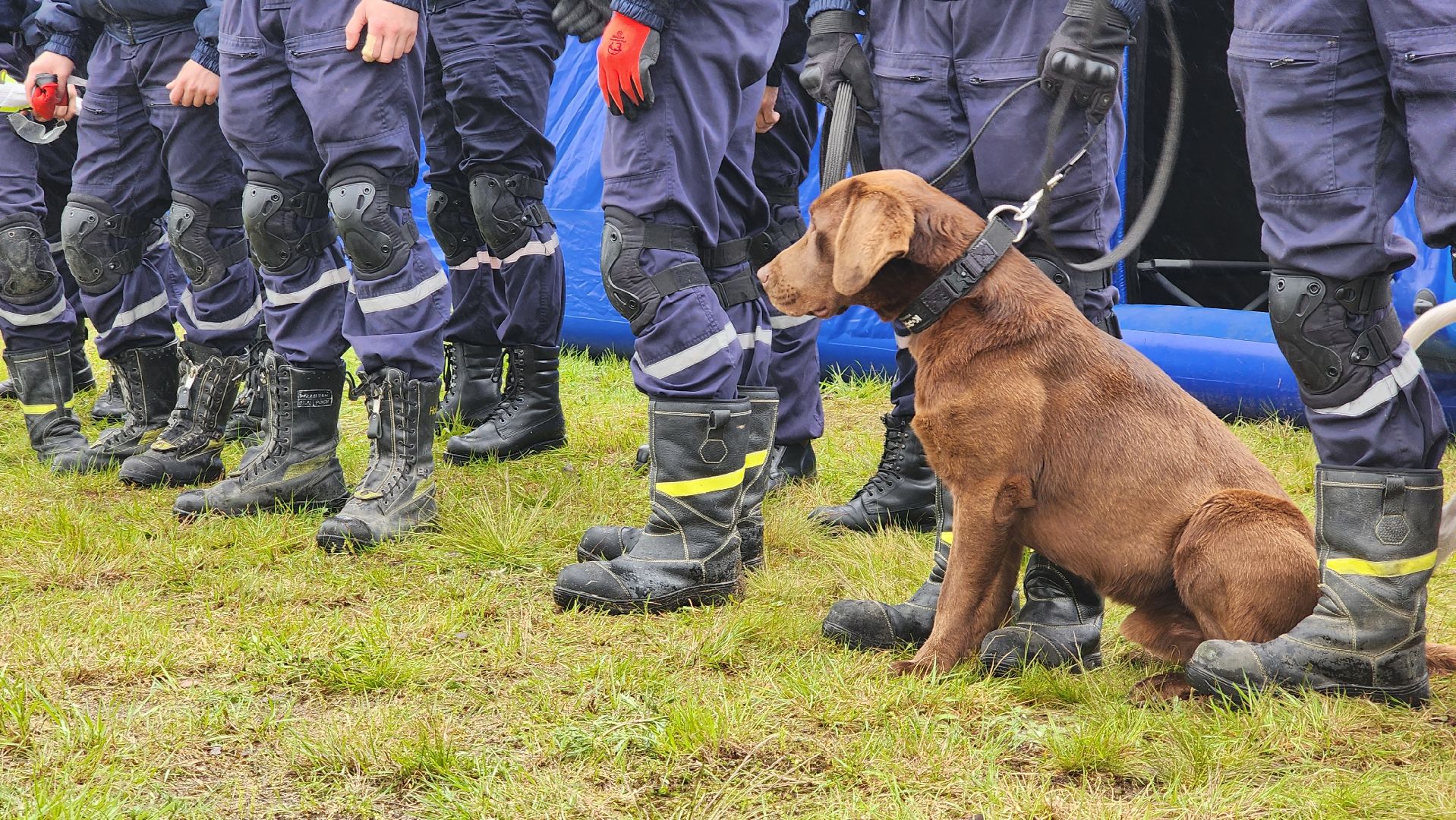 учения спасателей, корпус сил и средств стран снг,   МЧС, ногинск, богородский городской округ,