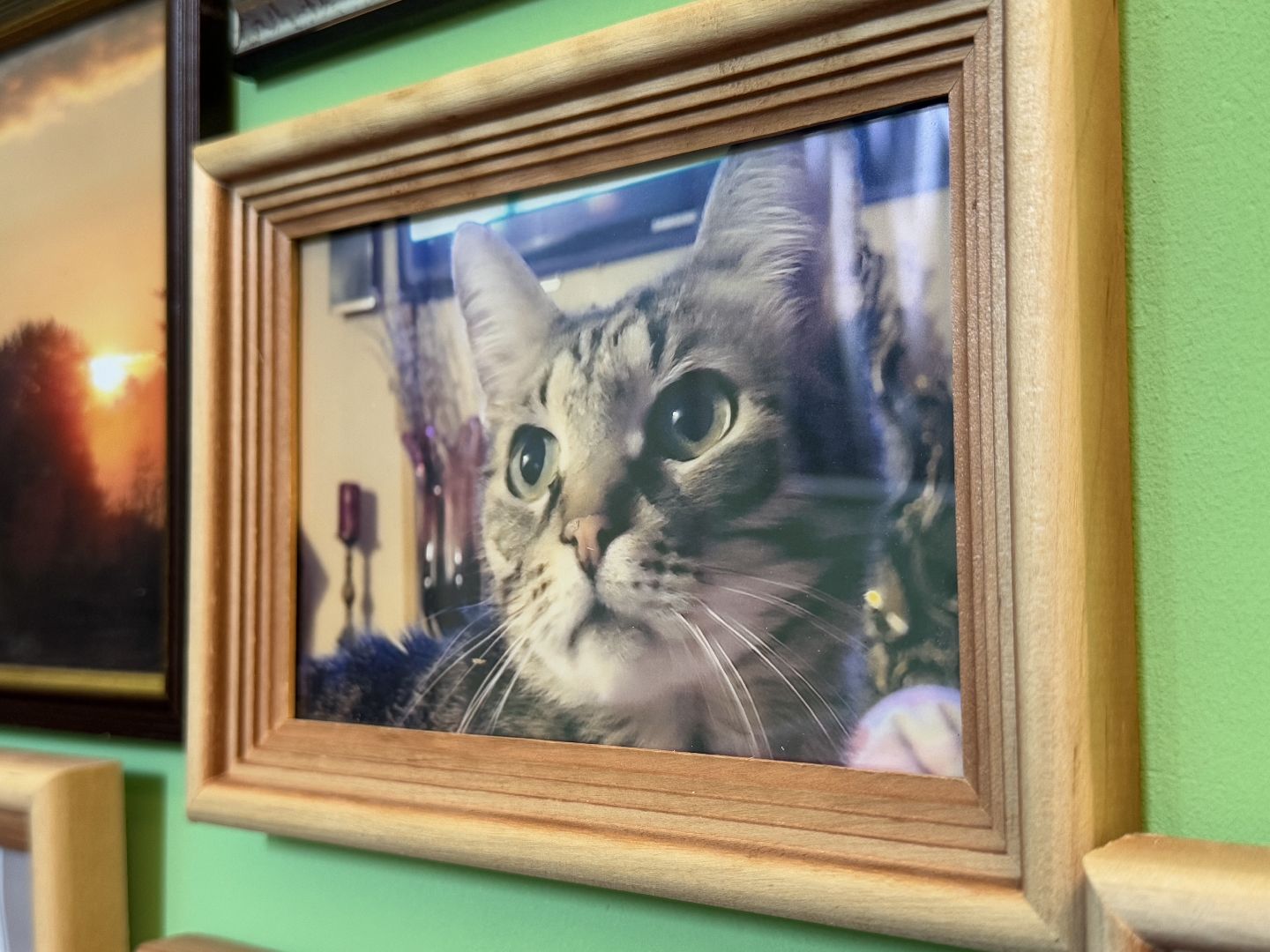 арт-объект, балашиха, творчество жителей, виталий гусаков, микрорайон заря балашиха,