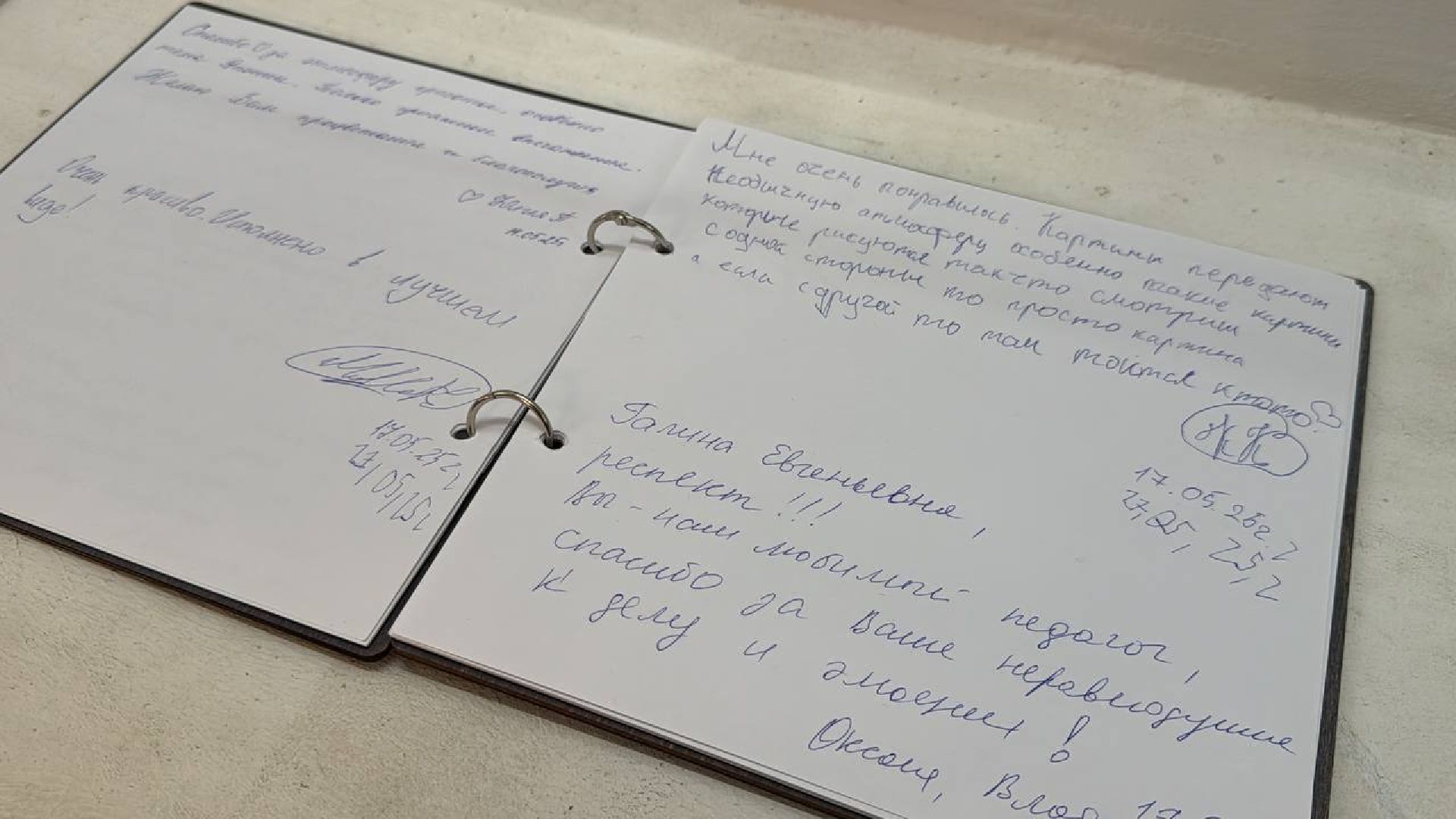 художница, выставка, картины, дк саввино,