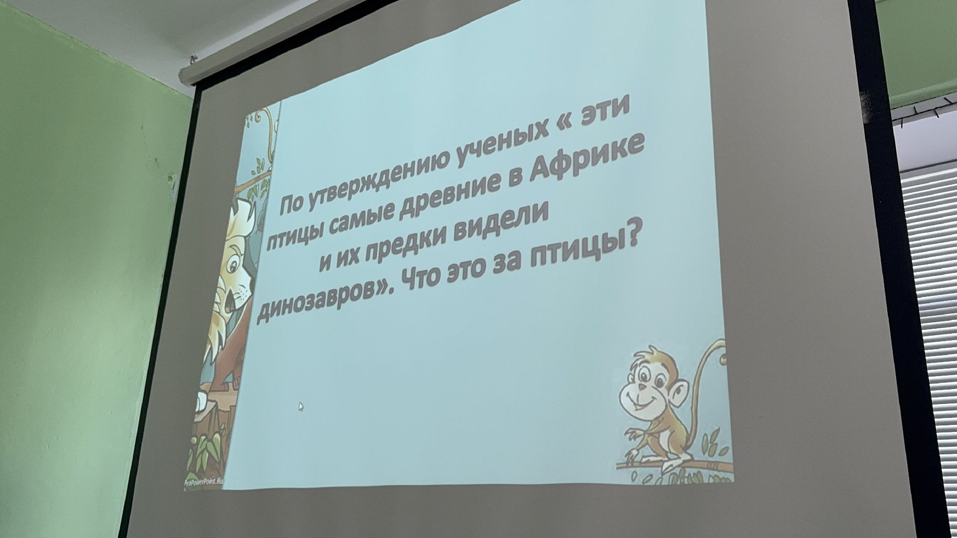 солнечногорск, урок, география, дети, знания,