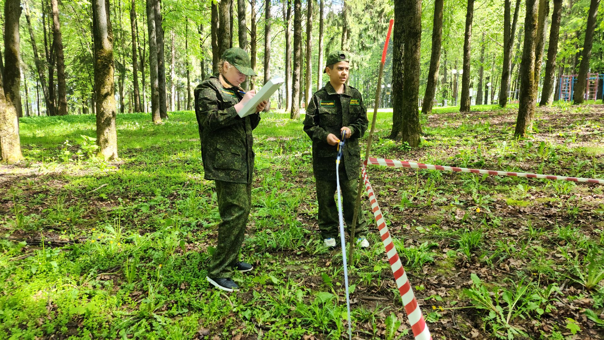 экология, юные лесничие, слет юных лесничих,