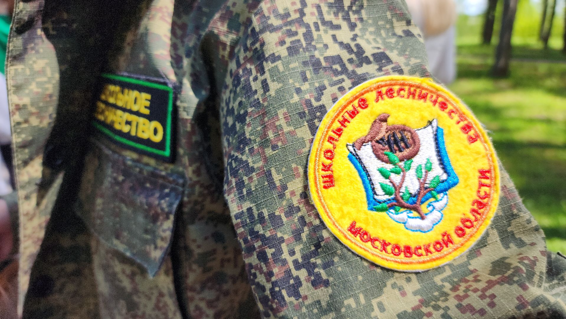 экология, юные лесничие, слет юных лесничих,