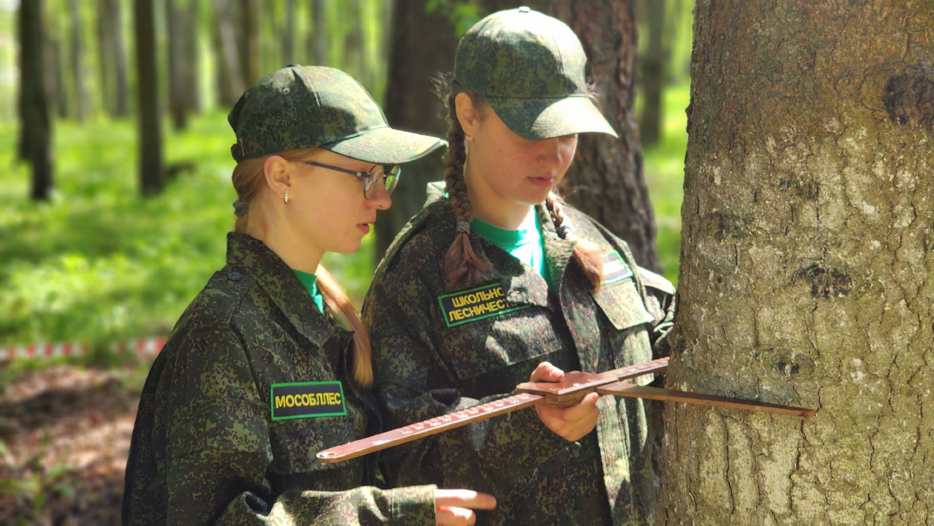 экология, юные лесничие, слет юных лесничих,