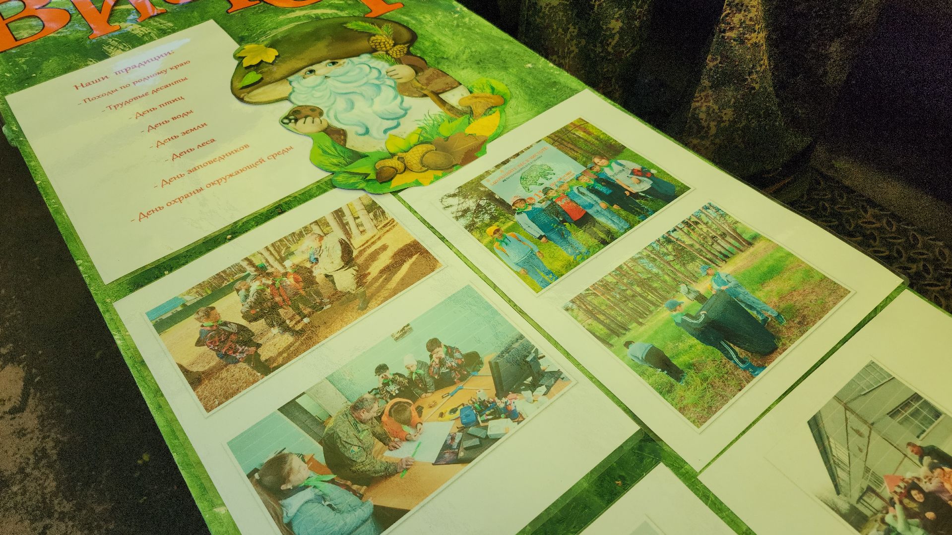 экология, юные лесничие, слет юных лесничих,