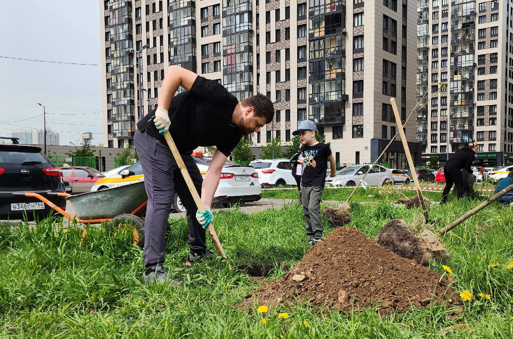 химки, благоустройство , высадка деревьев, сад памяти,