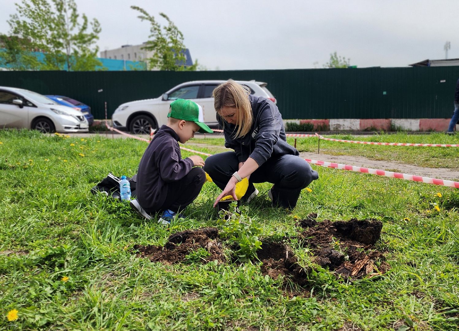 химки, благоустройство , высадка деревьев, сад памяти,