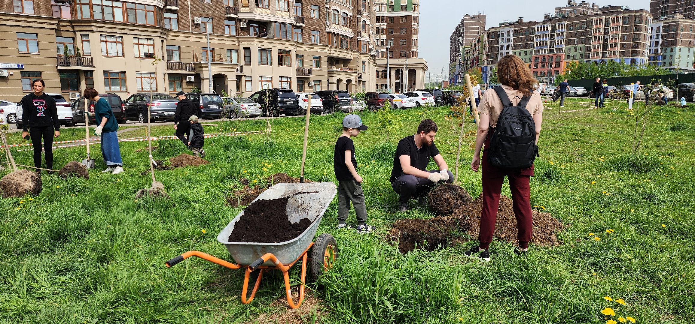 химки, благоустройство , высадка деревьев, сад памяти,