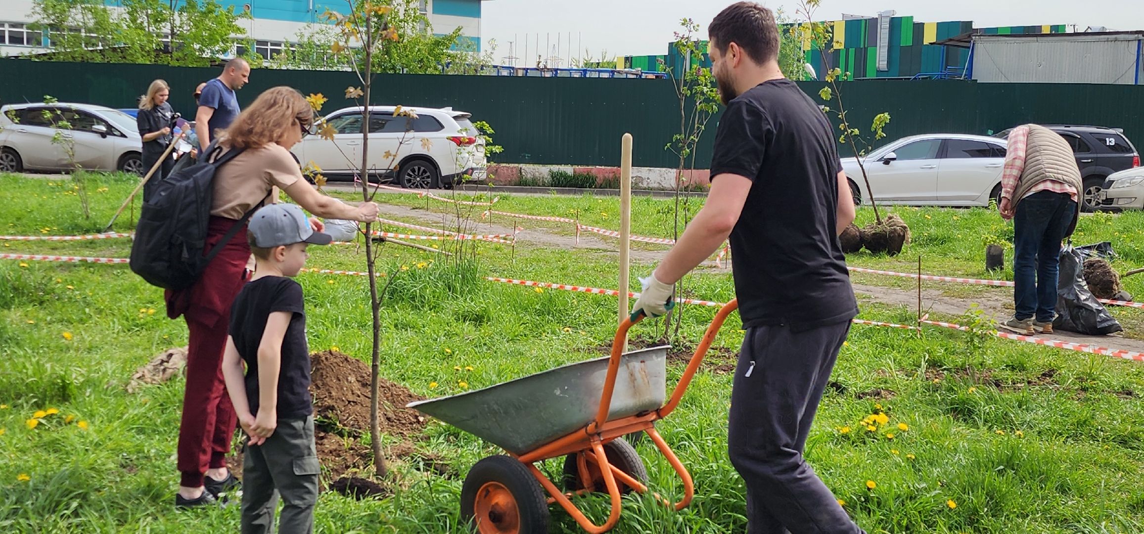 химки, благоустройство , высадка деревьев, сад памяти,