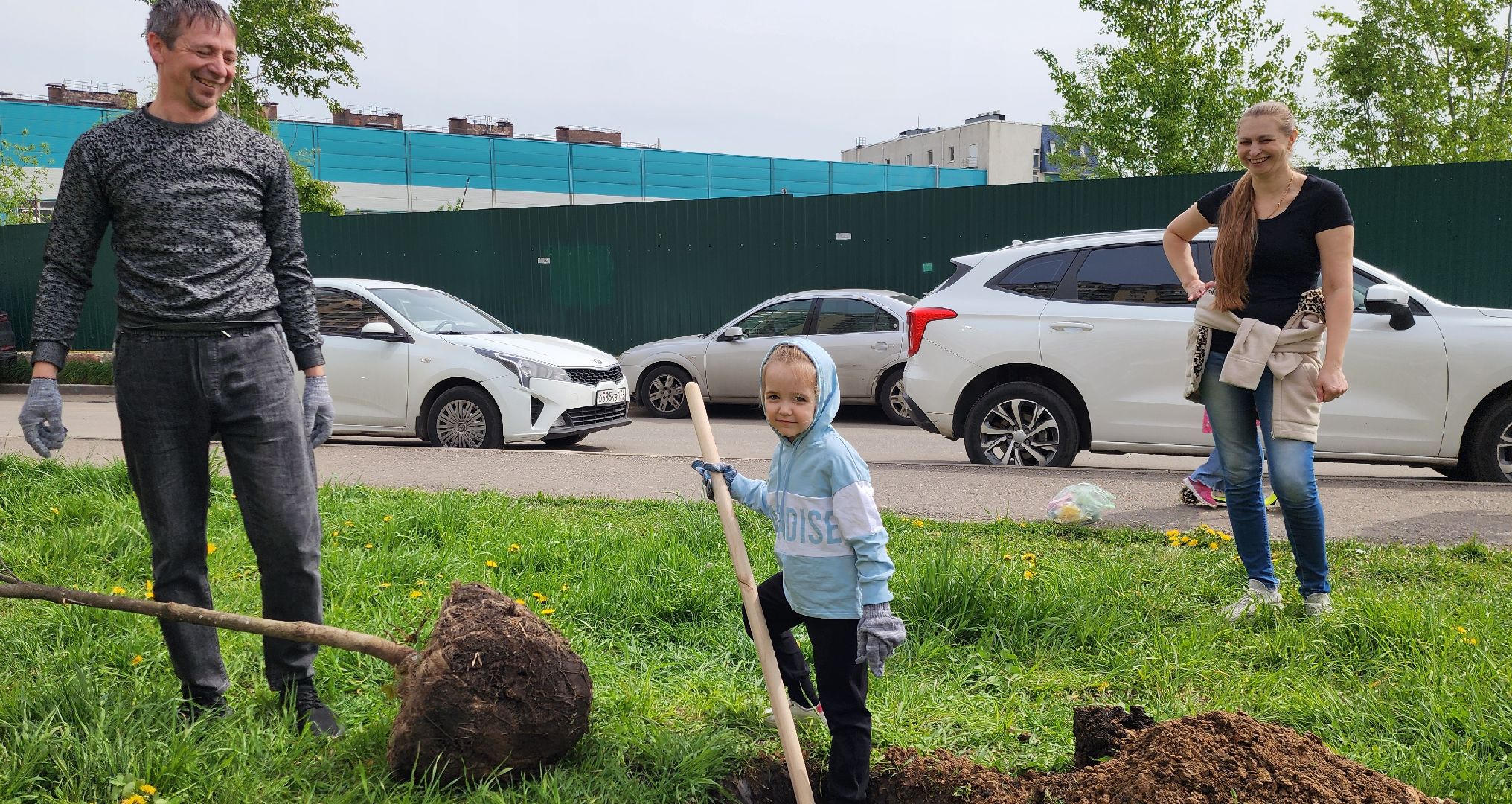 химки, благоустройство , высадка деревьев, сад памяти,