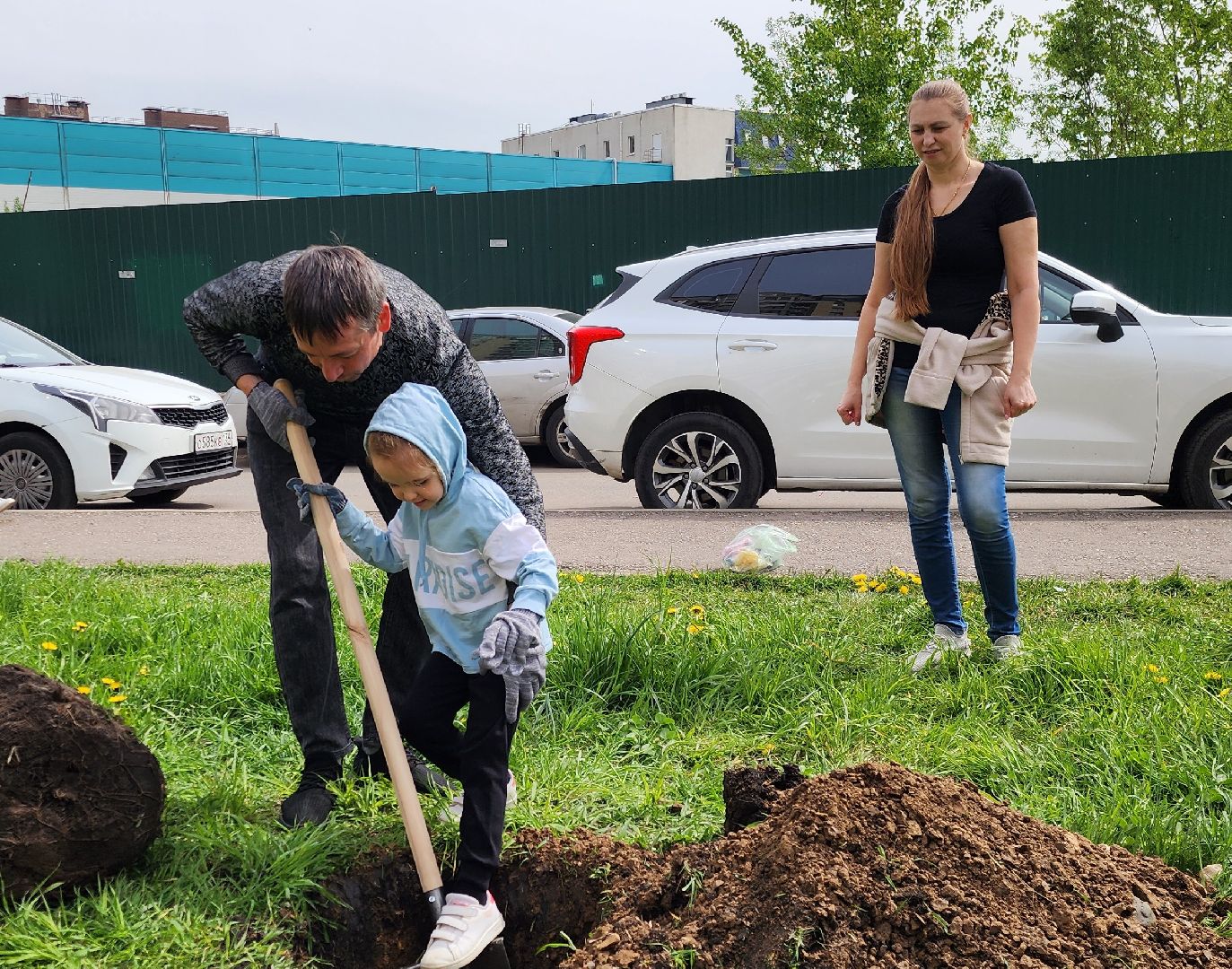 химки, благоустройство , высадка деревьев, сад памяти,