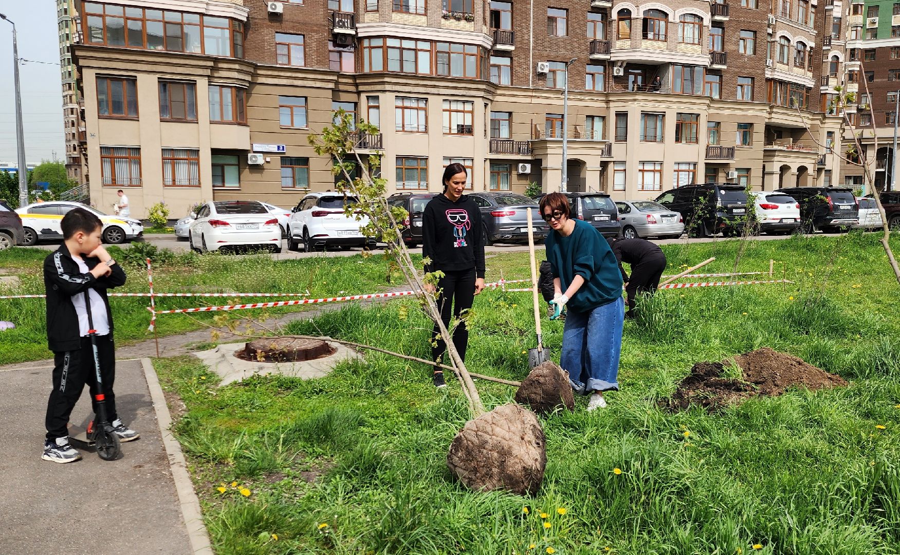 химки, благоустройство , высадка деревьев, сад памяти,