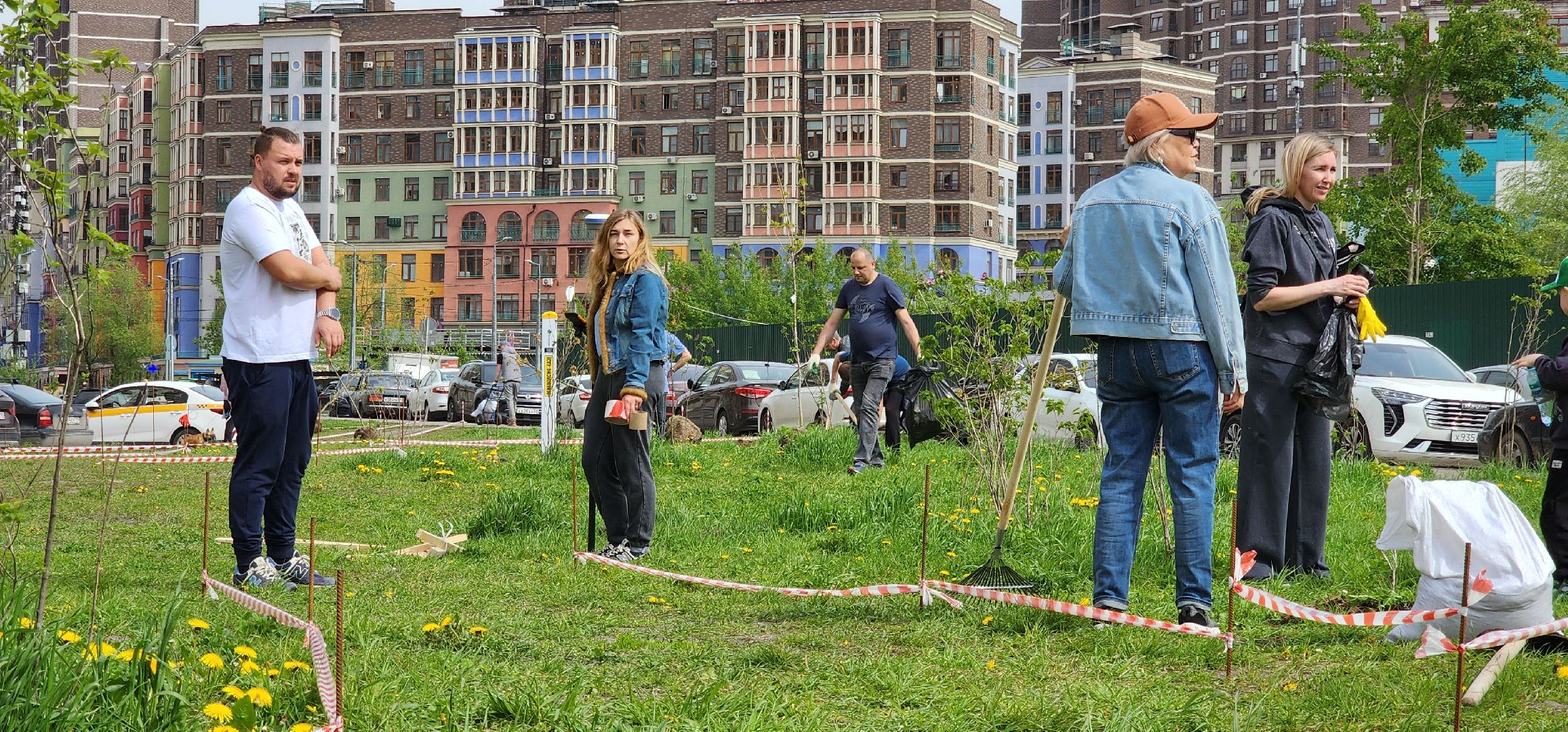 химки, благоустройство , высадка деревьев, сад памяти,