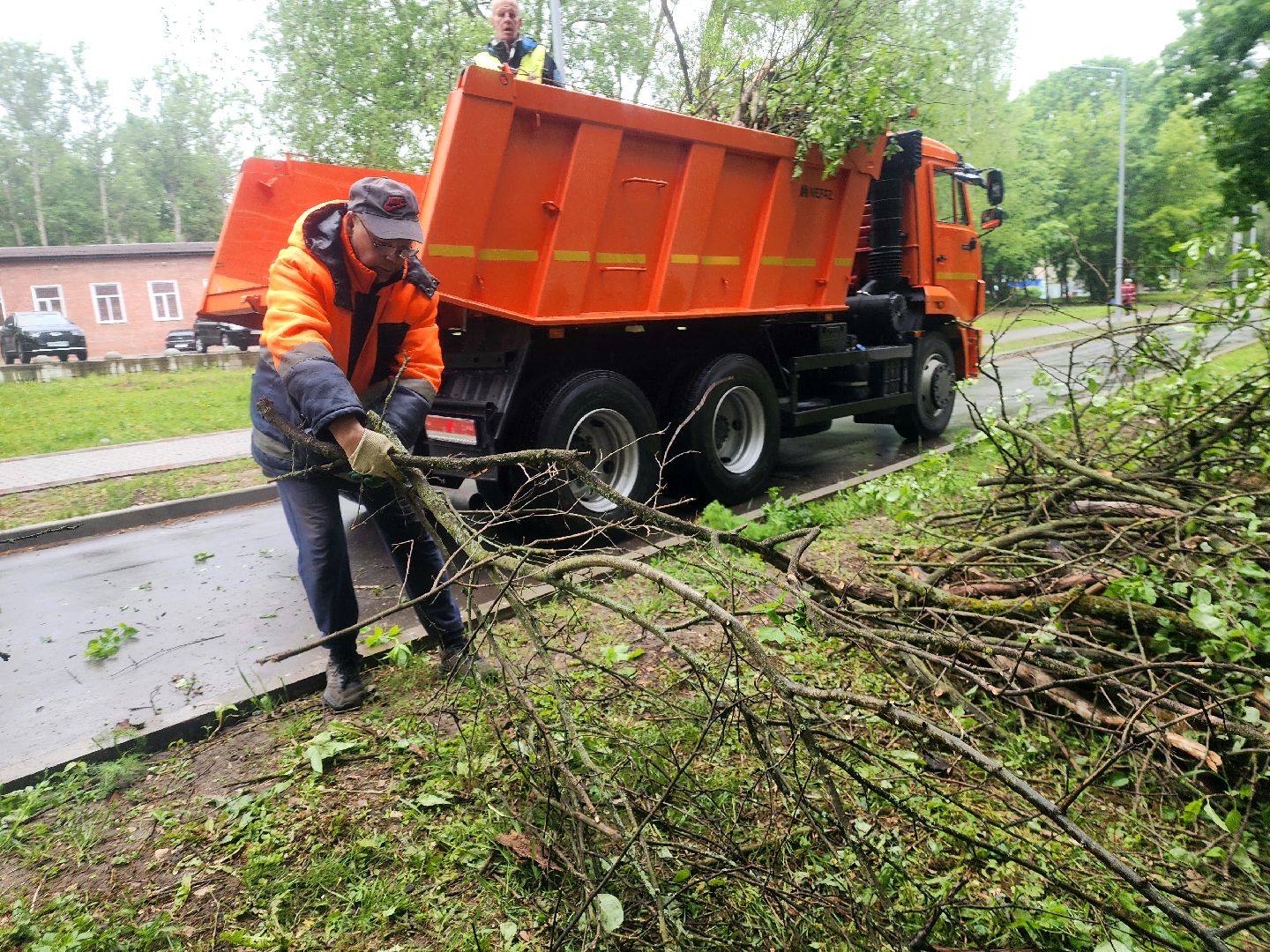 пущино, серпухов, озеленение,