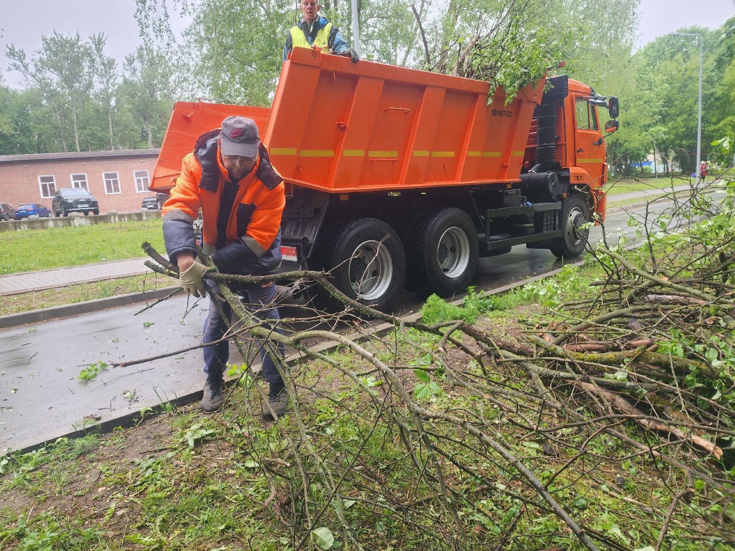 пущино, серпухов, озеленение,