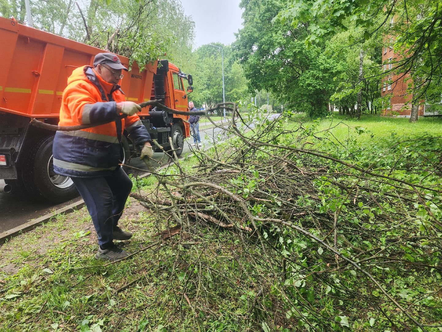 пущино, серпухов, озеленение,