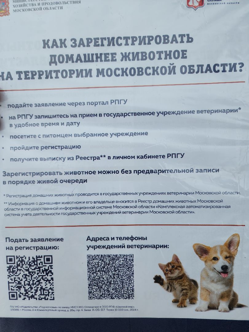 чипирование домашних животных, орехово-зуевский округ, ликино-дулево,