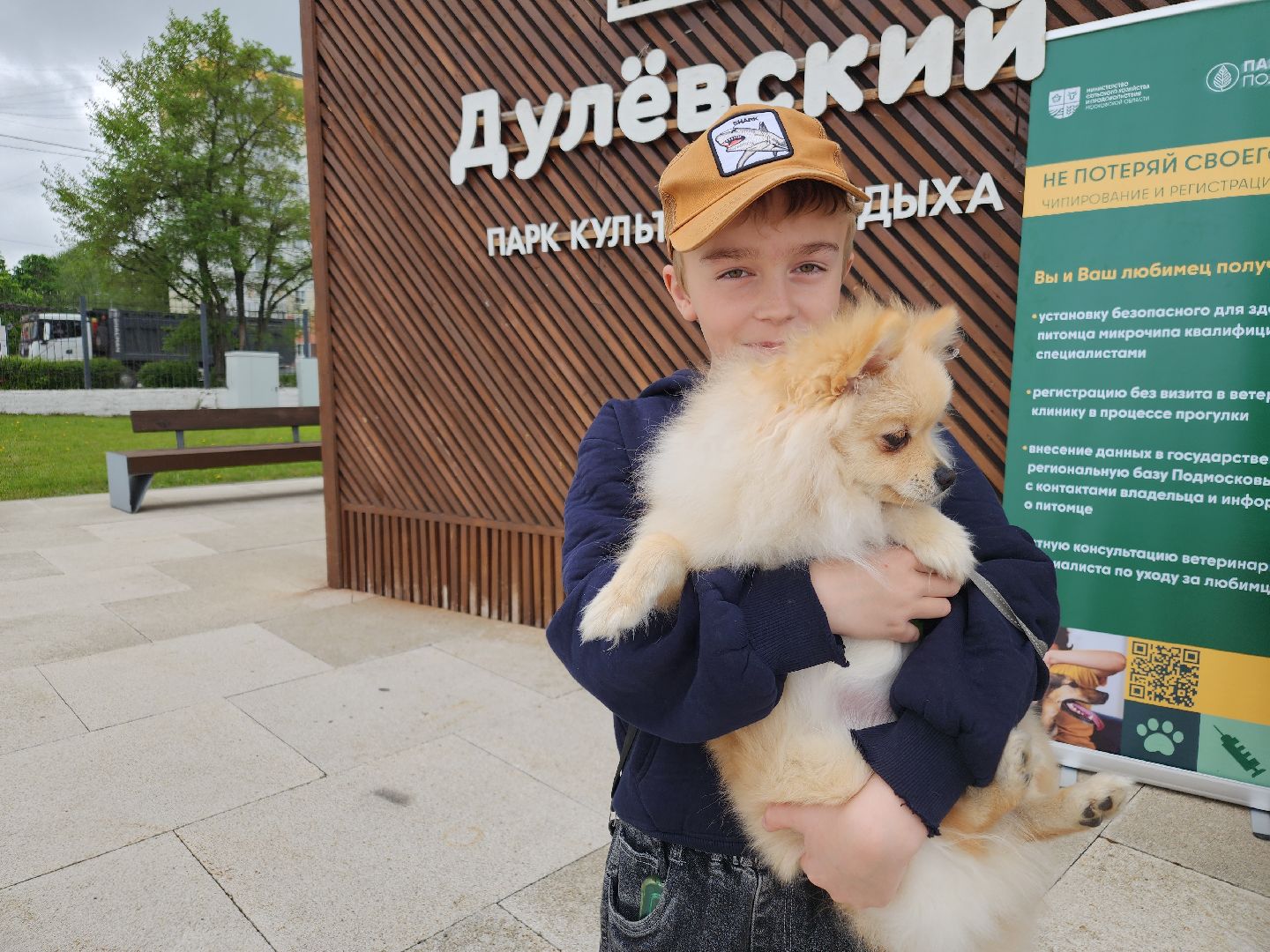 чипирование домашних животных, орехово-зуевский округ, ликино-дулево,