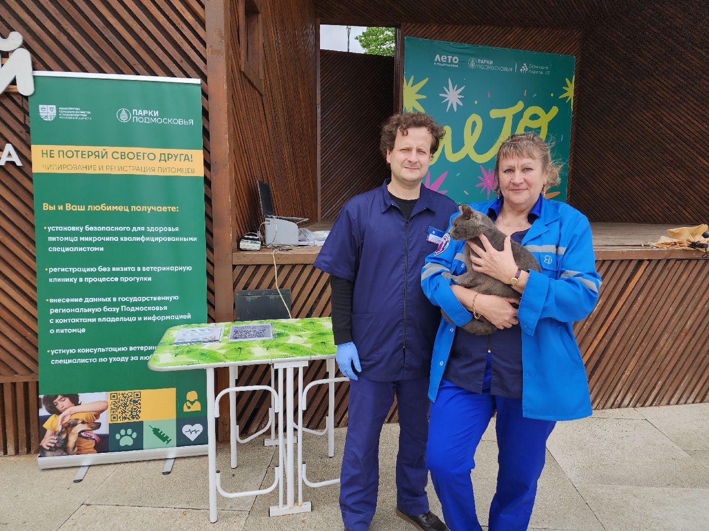 чипирование домашних животных, орехово-зуевский округ, ликино-дулево,