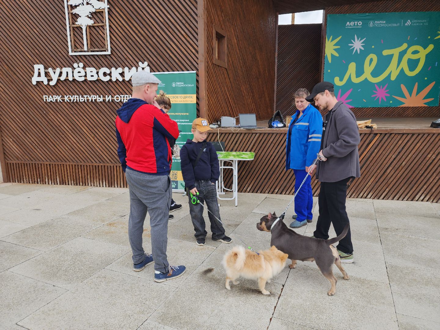 чипирование домашних животных, орехово-зуевский округ, ликино-дулево,
