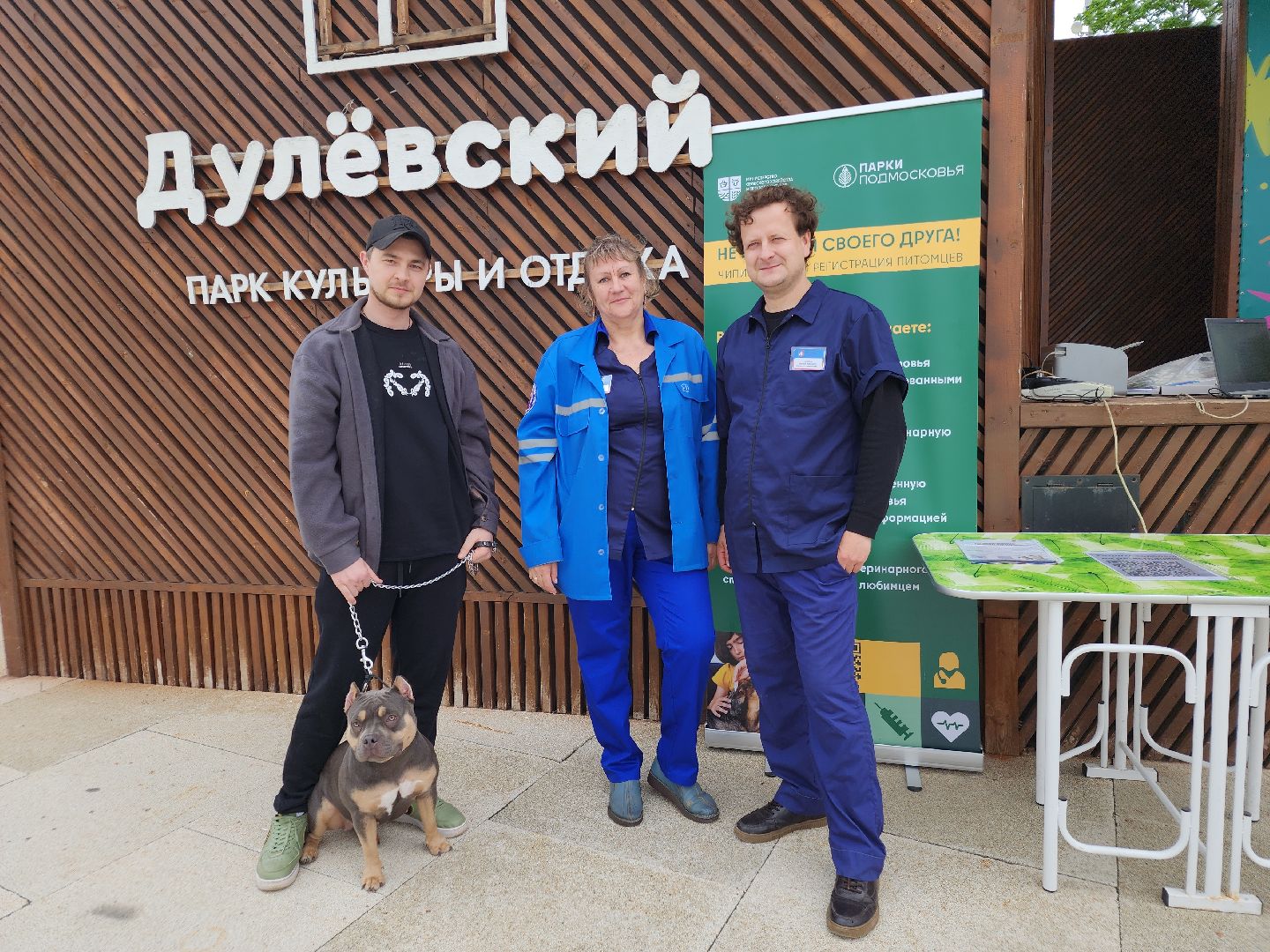 чипирование домашних животных, орехово-зуевский округ, ликино-дулево,