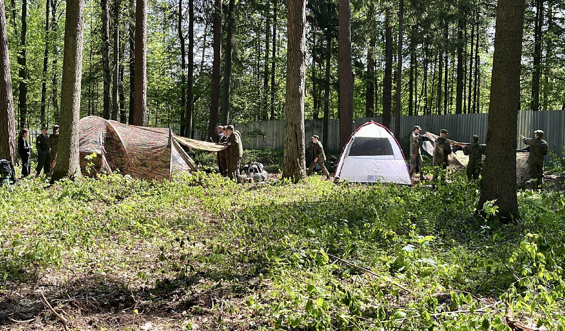 наро-фоминский городской округ, ДОЛ Литвиново, Школа безопасности , Движение первых московской области, главное управление МЧС России по Московской области ,