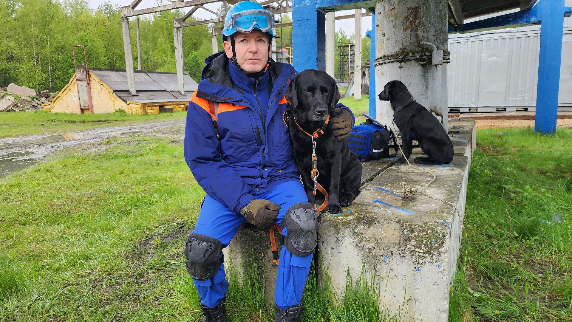 учения спасателей, кинолог, международные учения СНГ, ногинск, богородский городской округ,