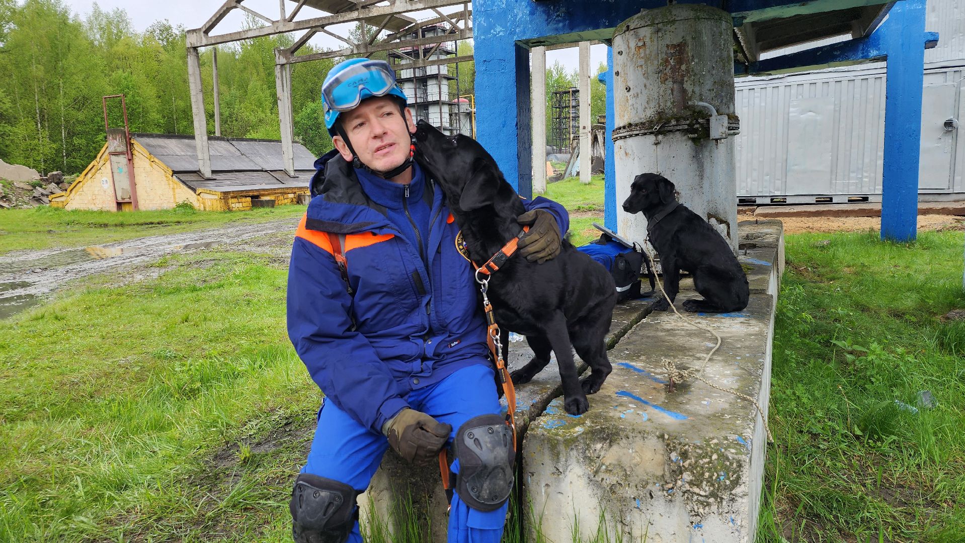 учения спасателей, кинолог, международные учения СНГ, ногинск, богородский городской округ,