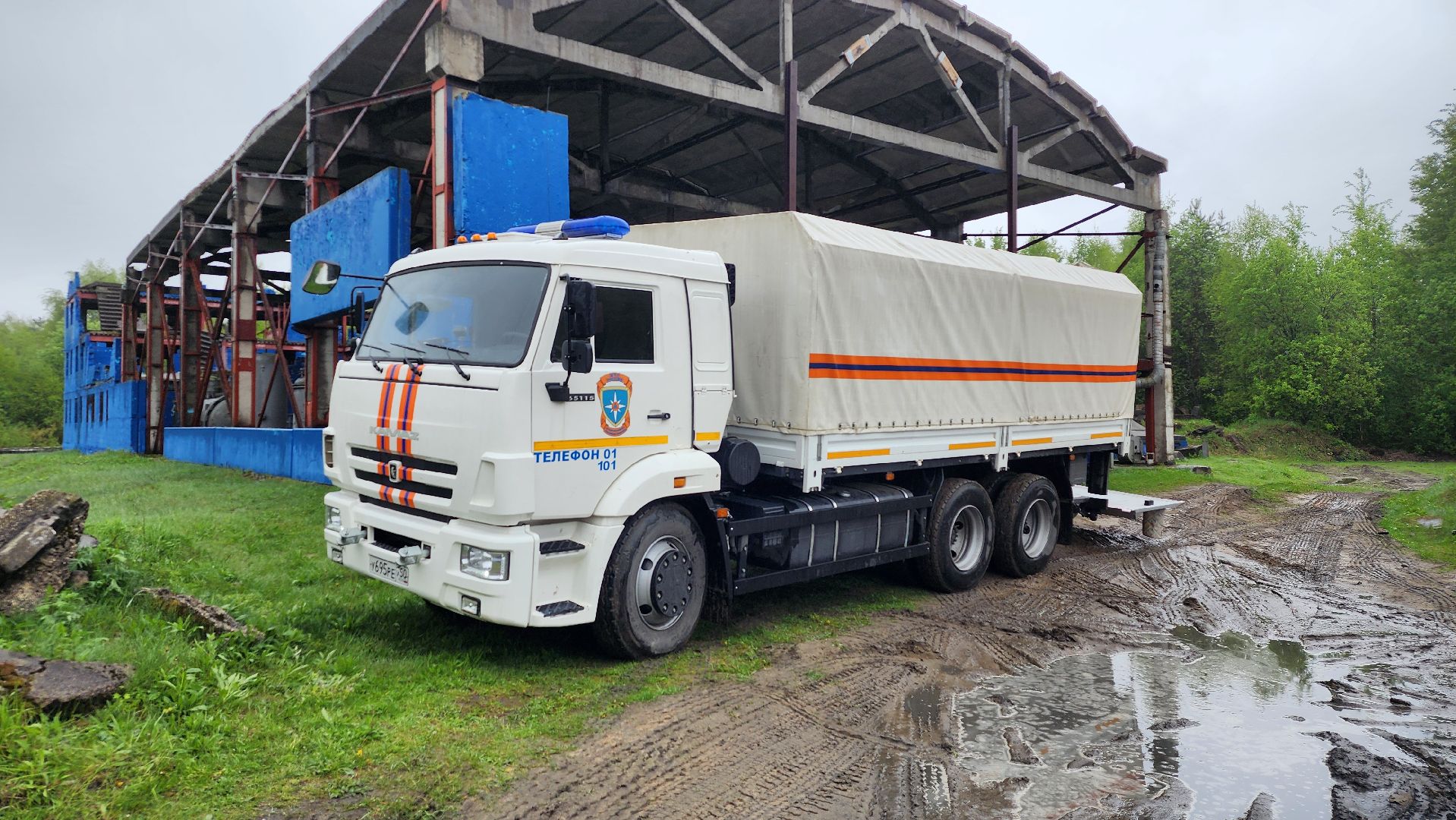 учения спасателей, кинолог, международные учения СНГ, ногинск, богородский городской округ,