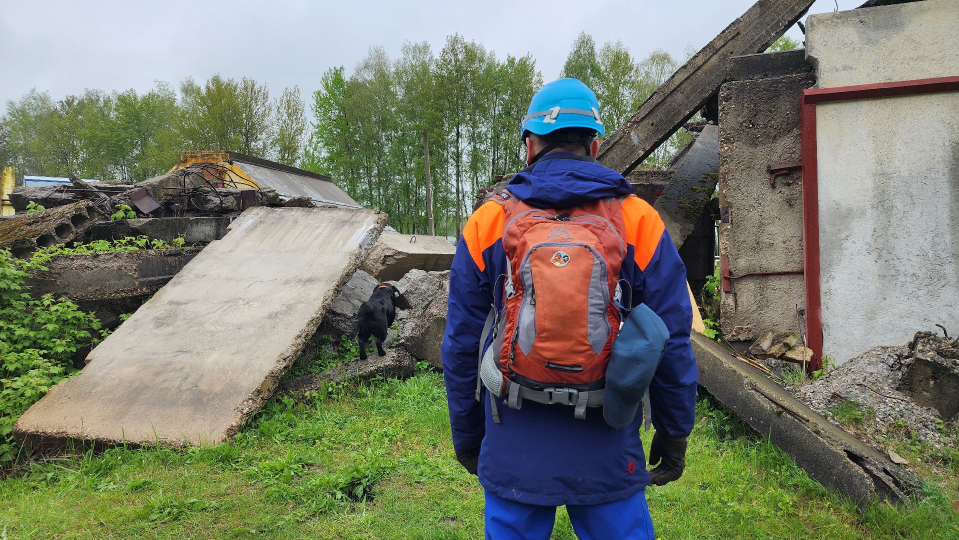 учения спасателей, кинолог, международные учения СНГ, ногинск, богородский городской округ,