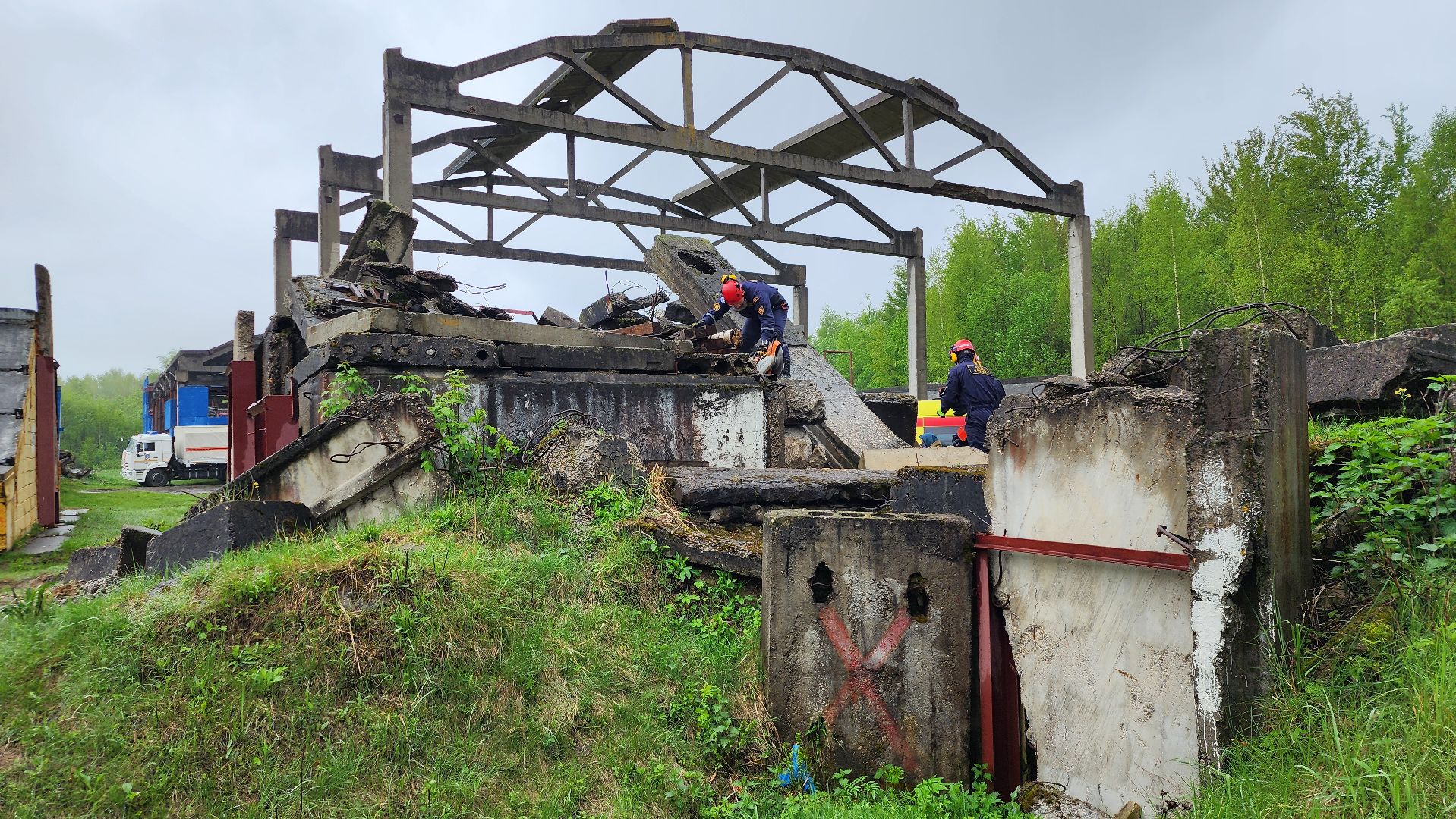 учения спасателей, кинолог, международные учения СНГ, ногинск, богородский городской округ,