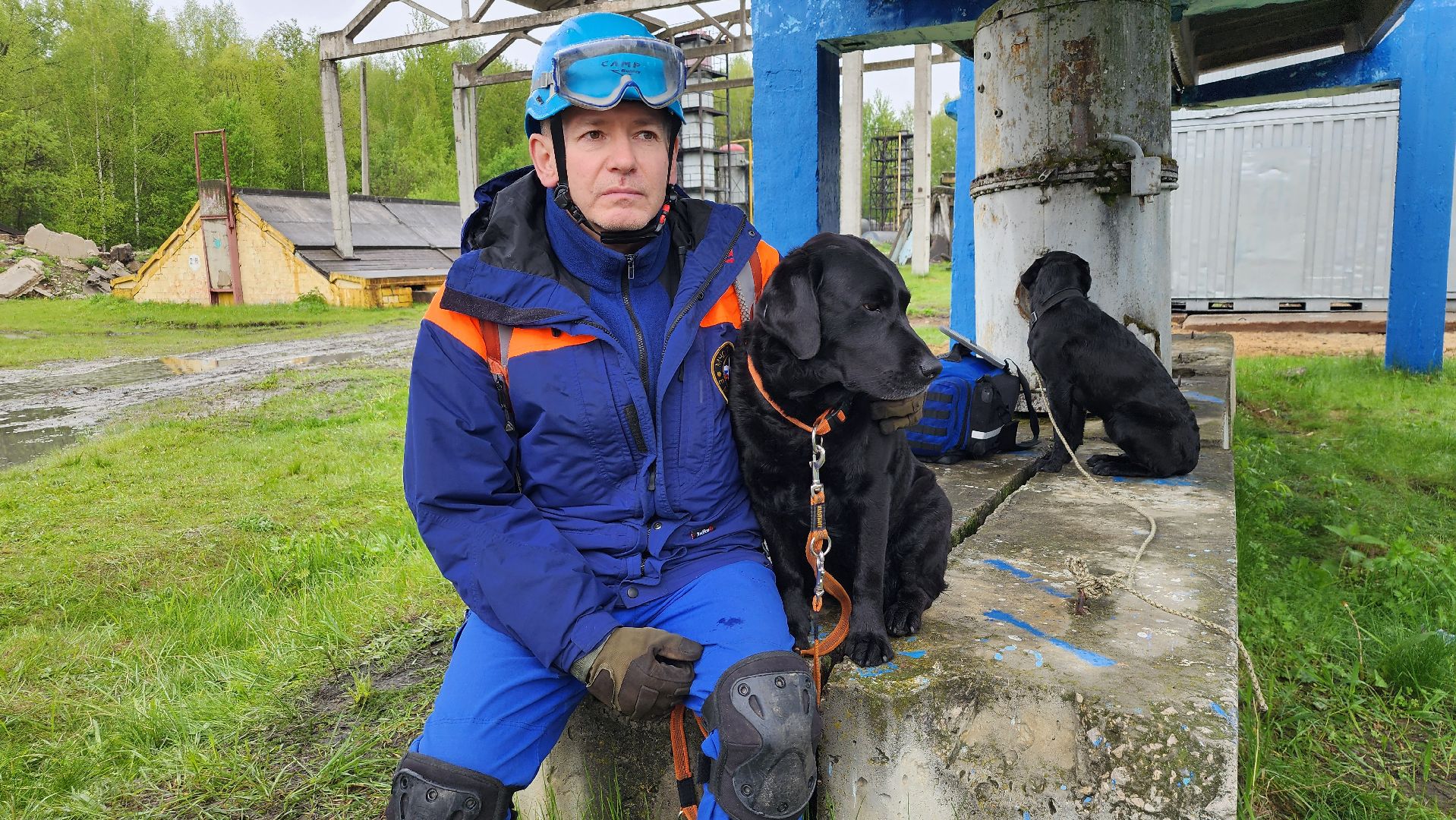учения спасателей, кинолог, международные учения СНГ, ногинск, богородский городской округ,
