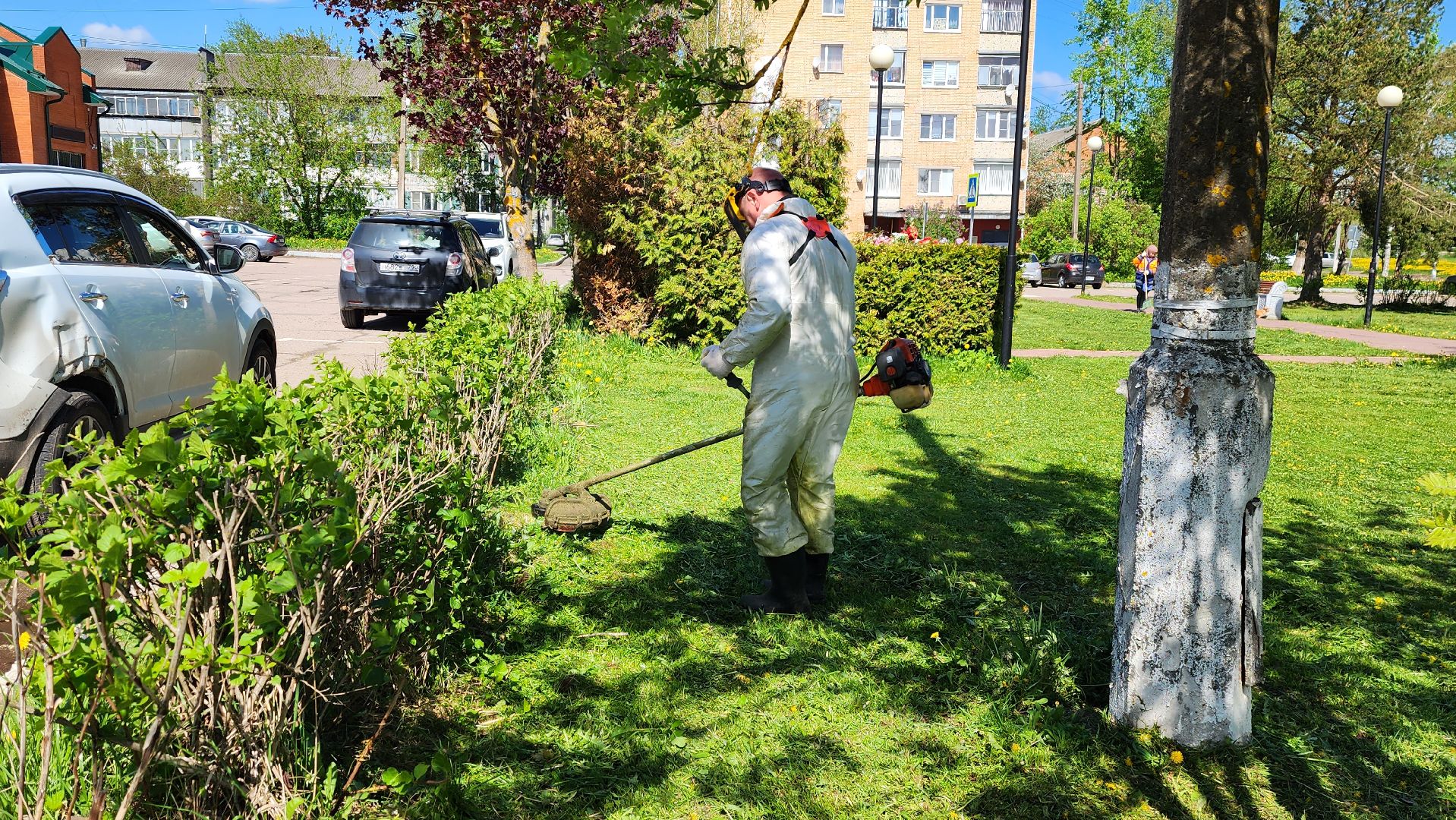 истра, благоустройство, покос травы,