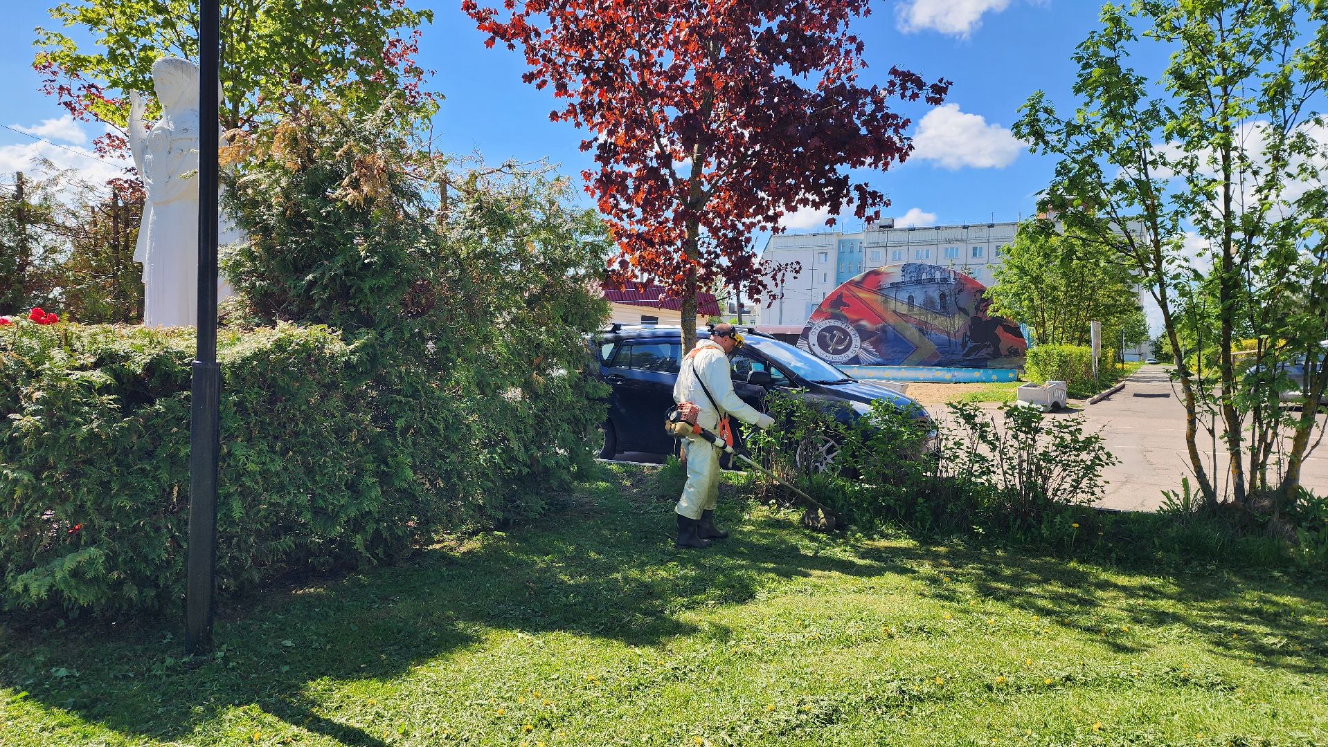 истра, благоустройство, покос травы,